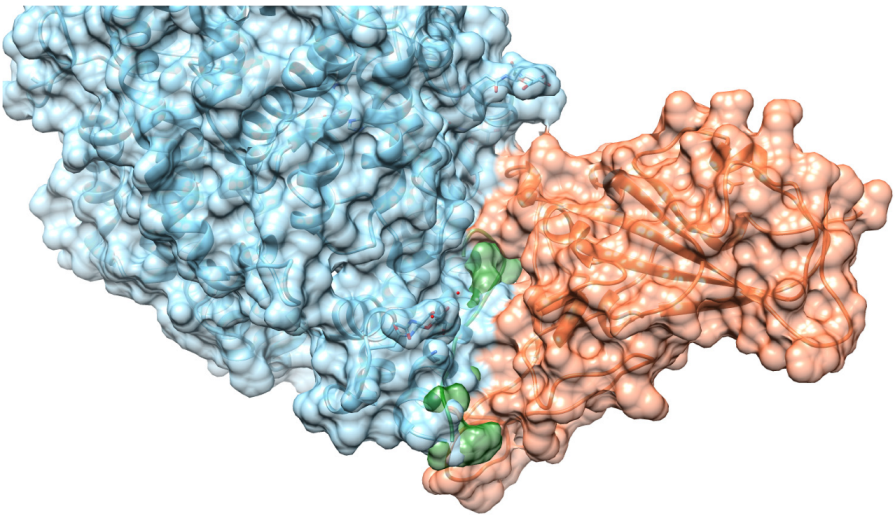 Molecules 30 01750 g001