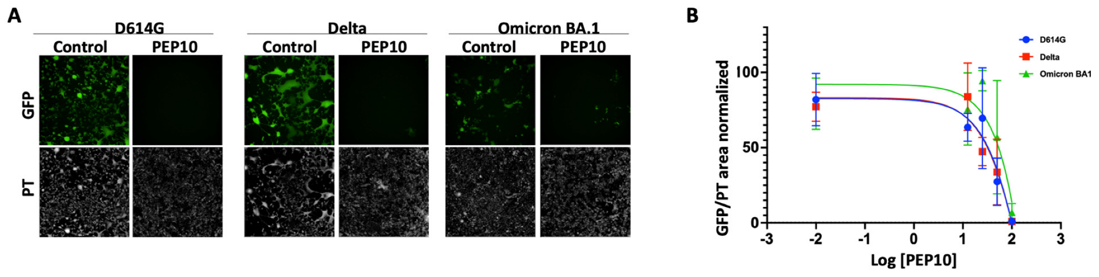 Molecules 30 01750 g004