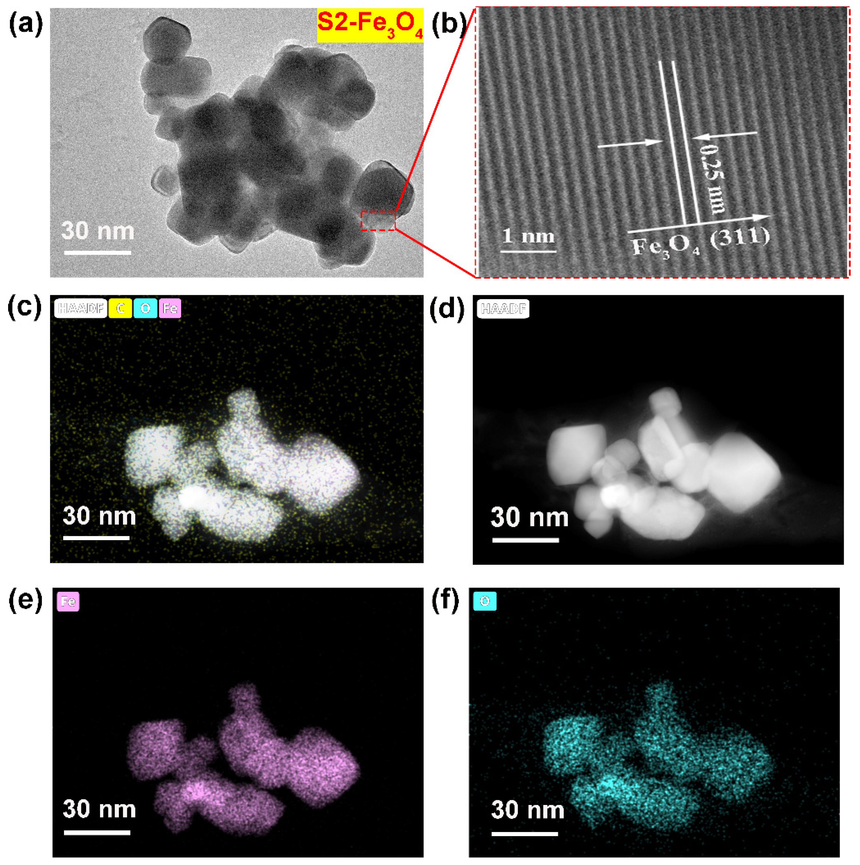 Molecules 30 01753 g005
