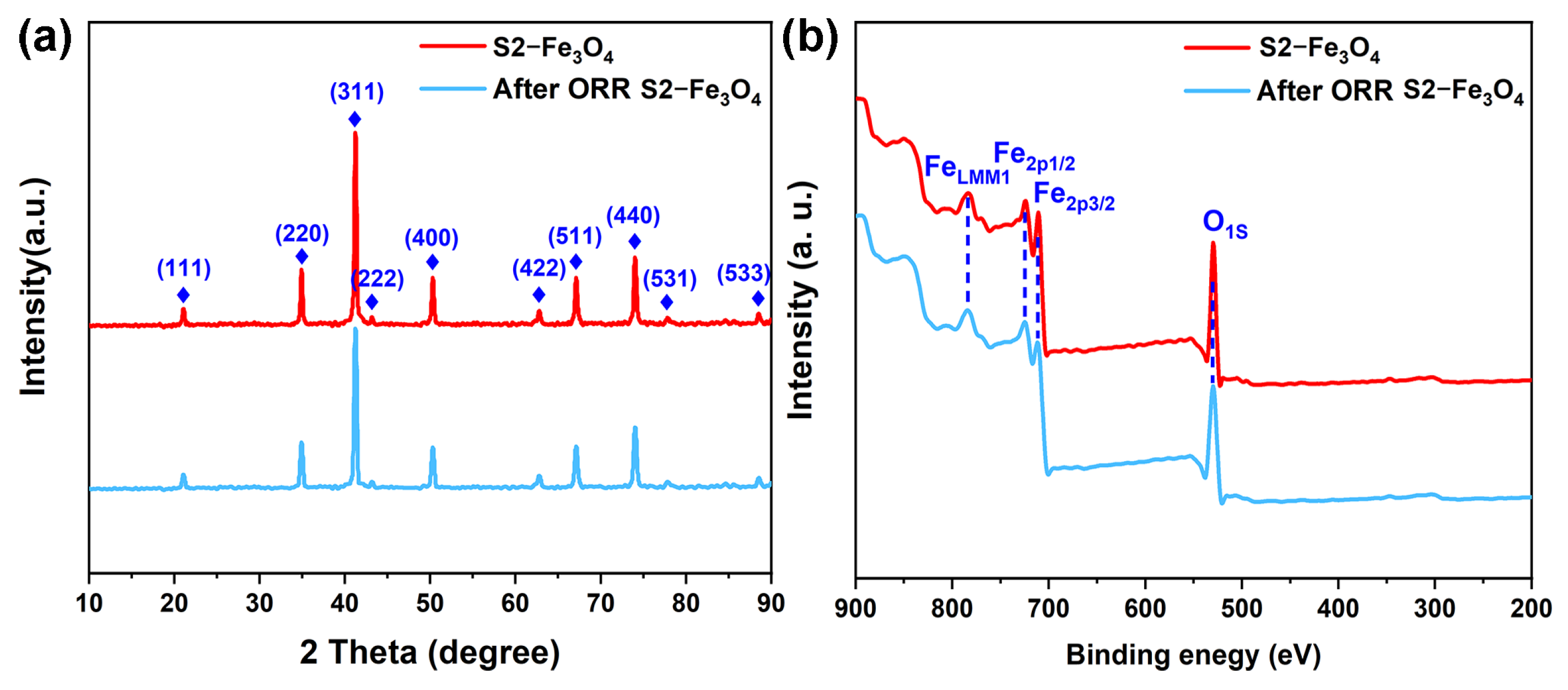 Molecules 30 01753 g010