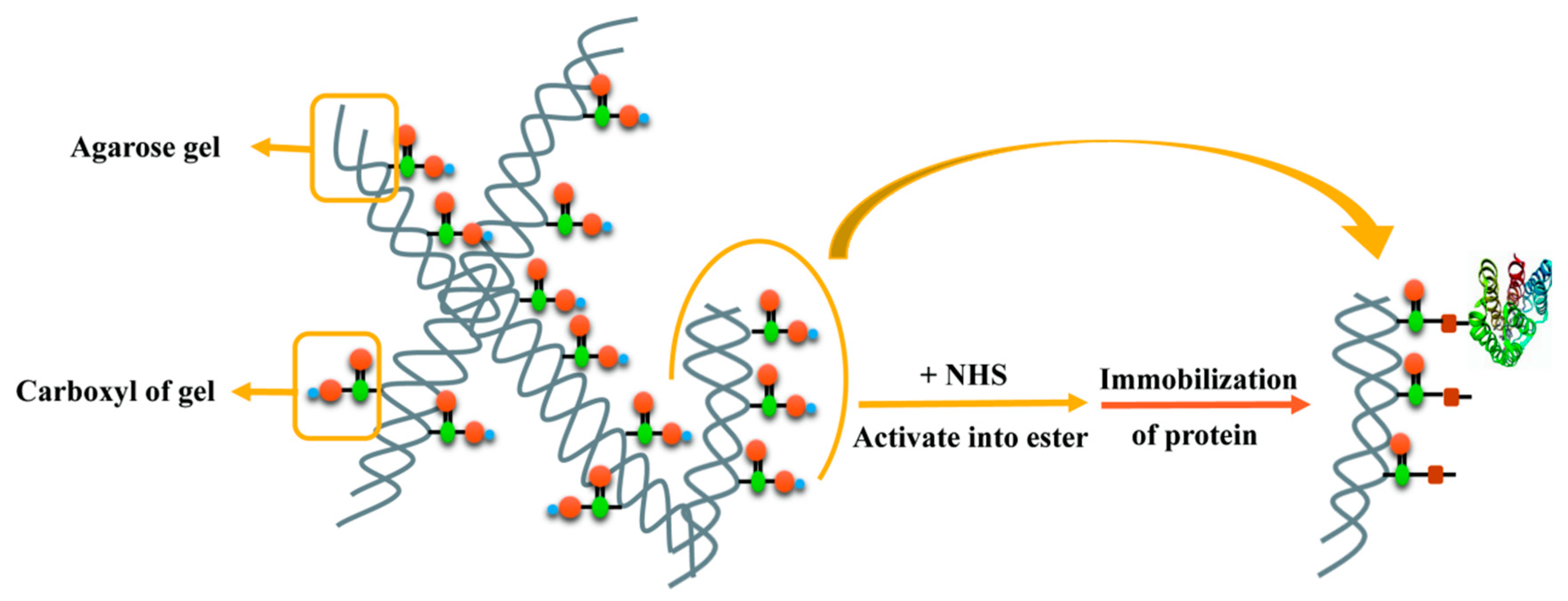 Molecules 30 01754 g008 Molecules 30 01754 g008