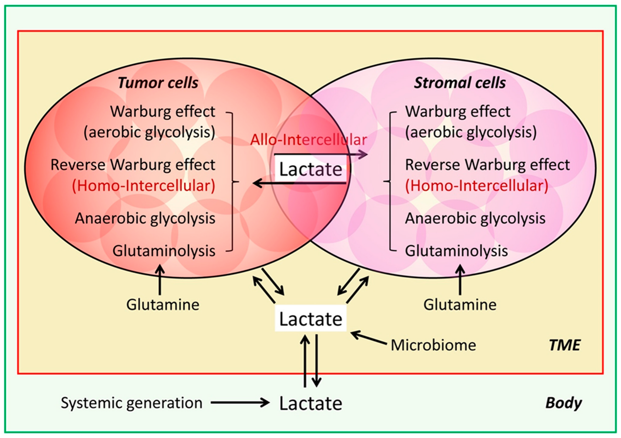 Molecules 30 01763 g002