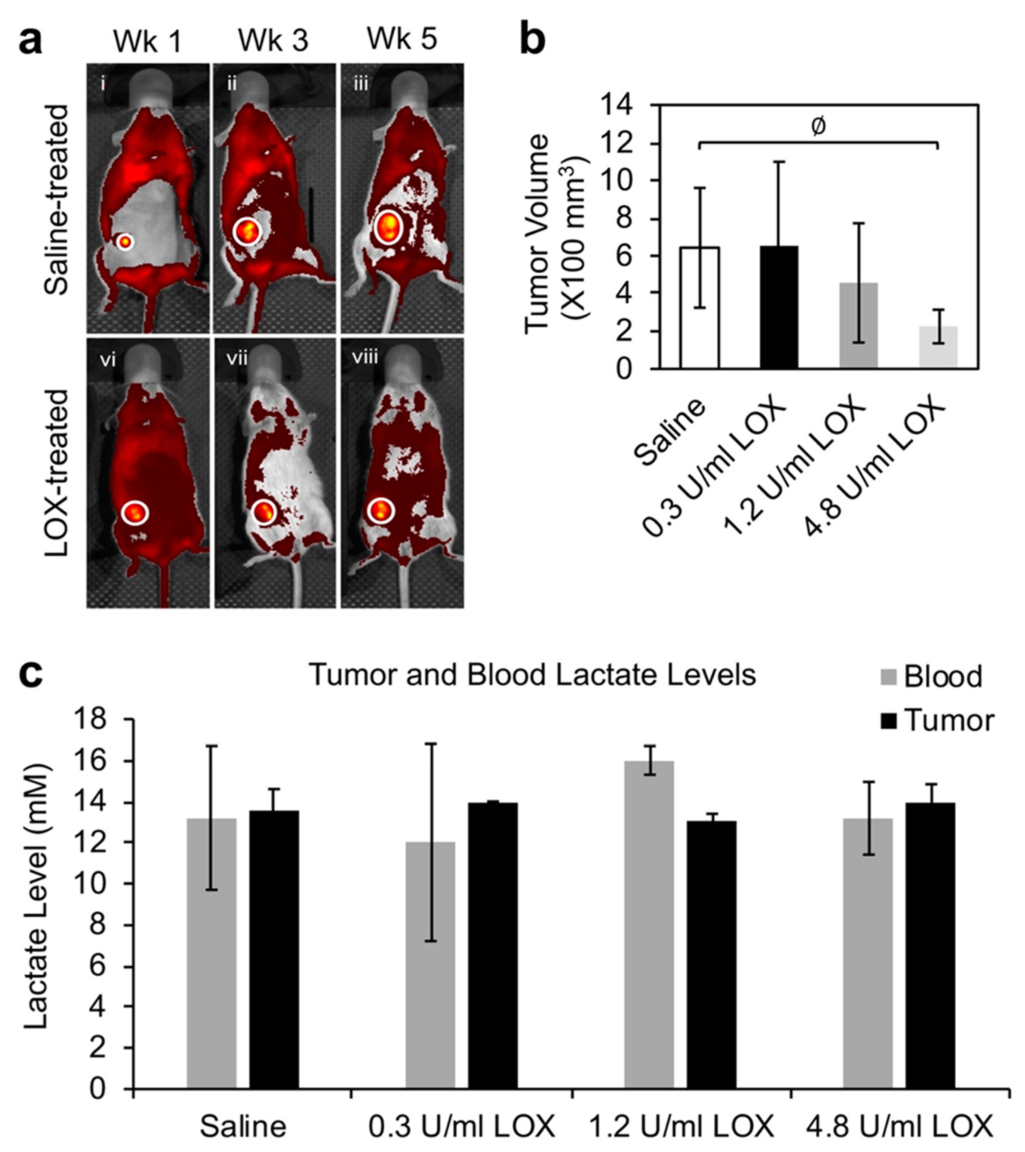 Molecules 30 01763 g003