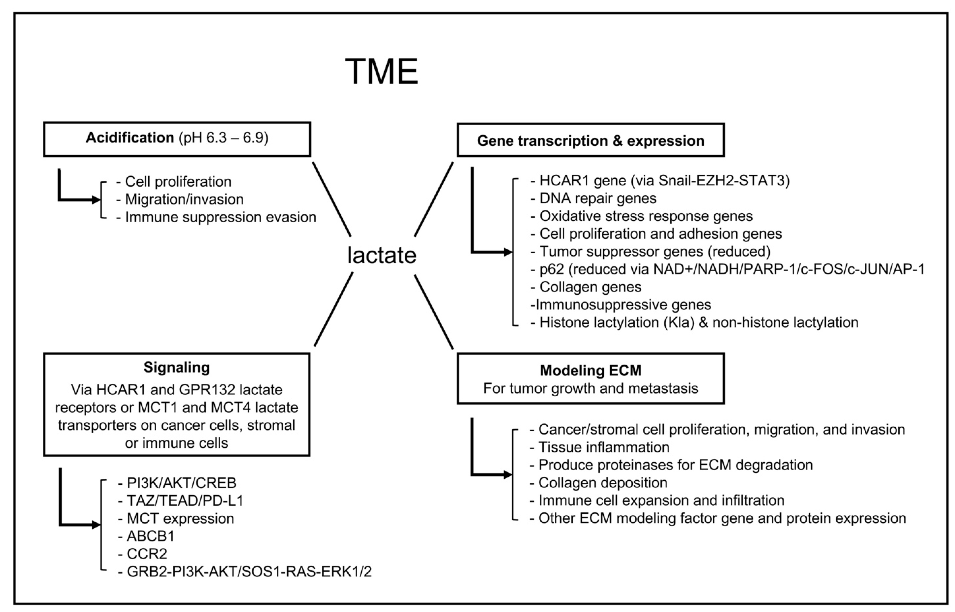 Molecules 30 01763 g006