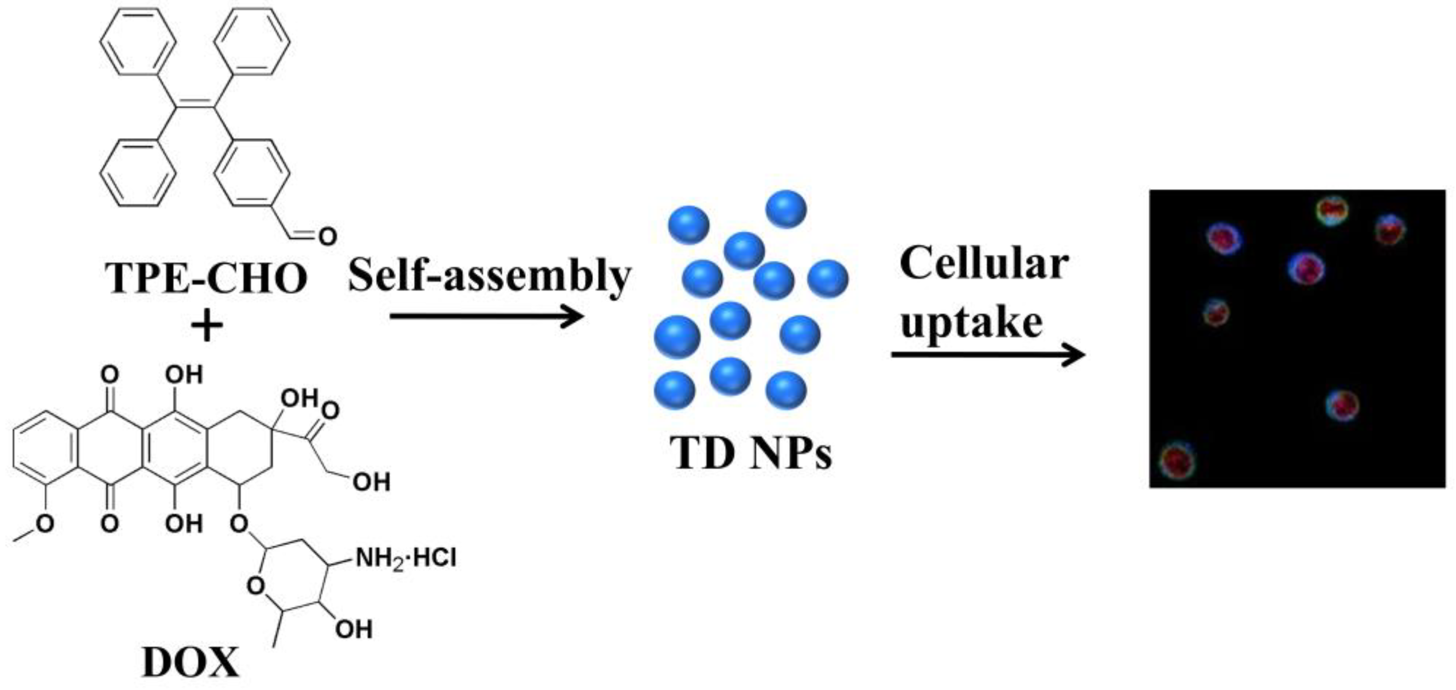 Molecules 30 01782 g001