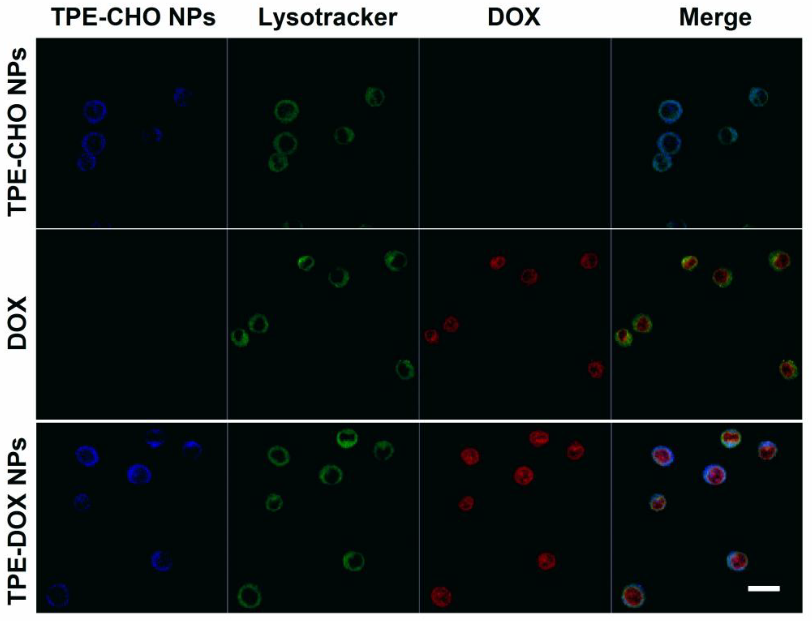 Molecules 30 01782 g007
