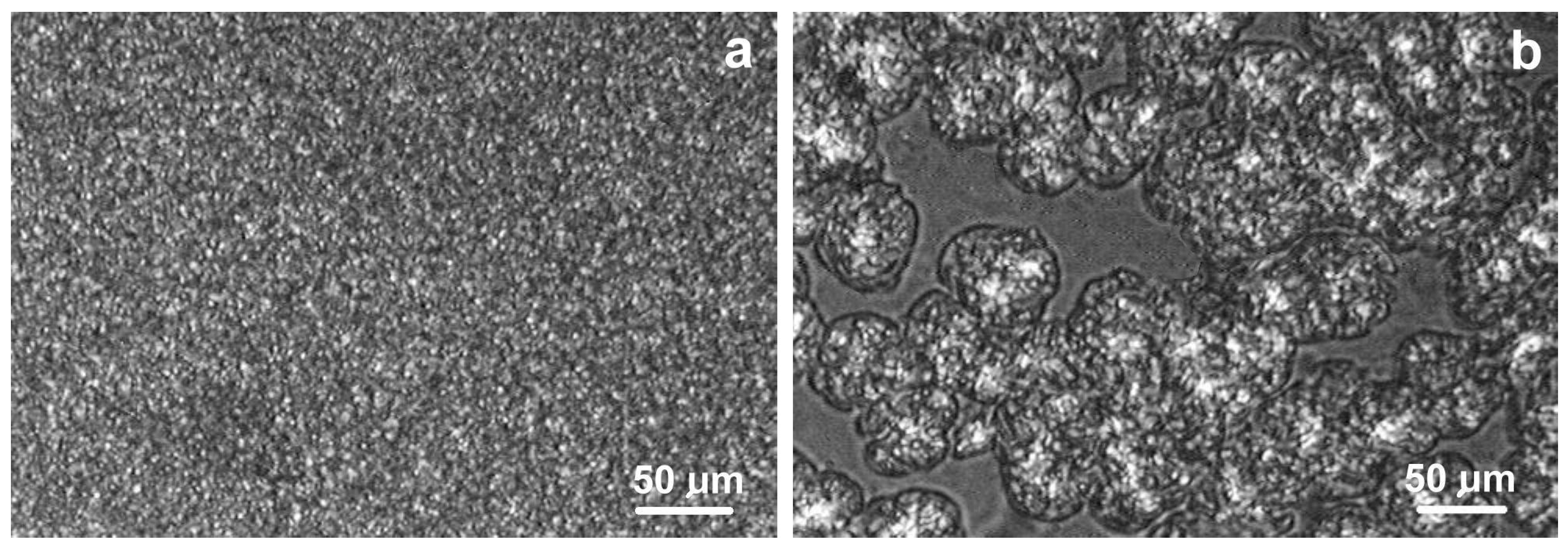 Molecules 30 01786 g007