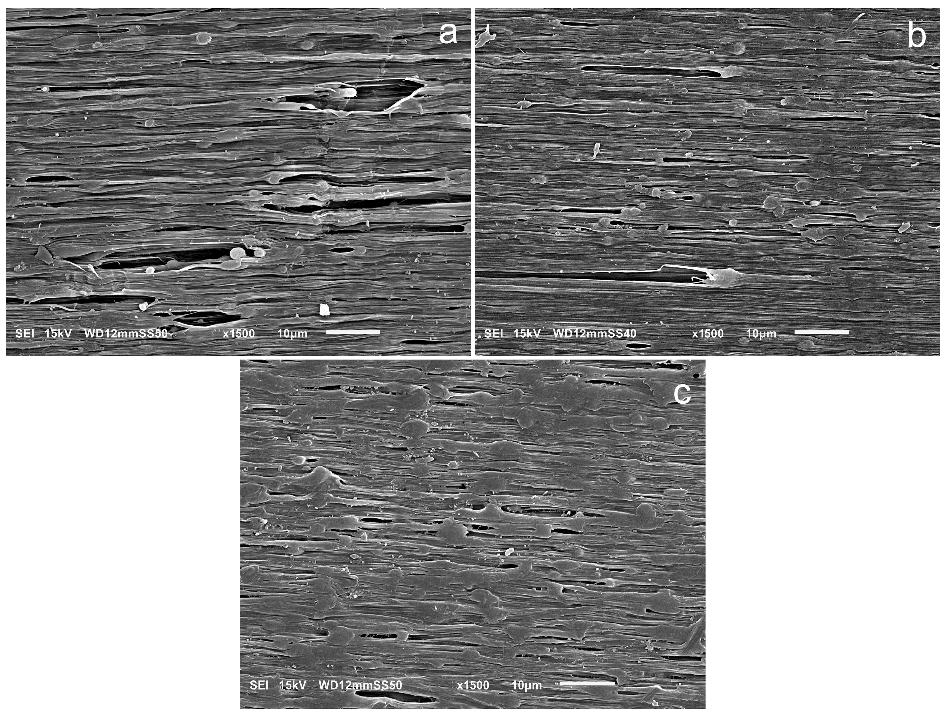 Molecules 30 01786 g010