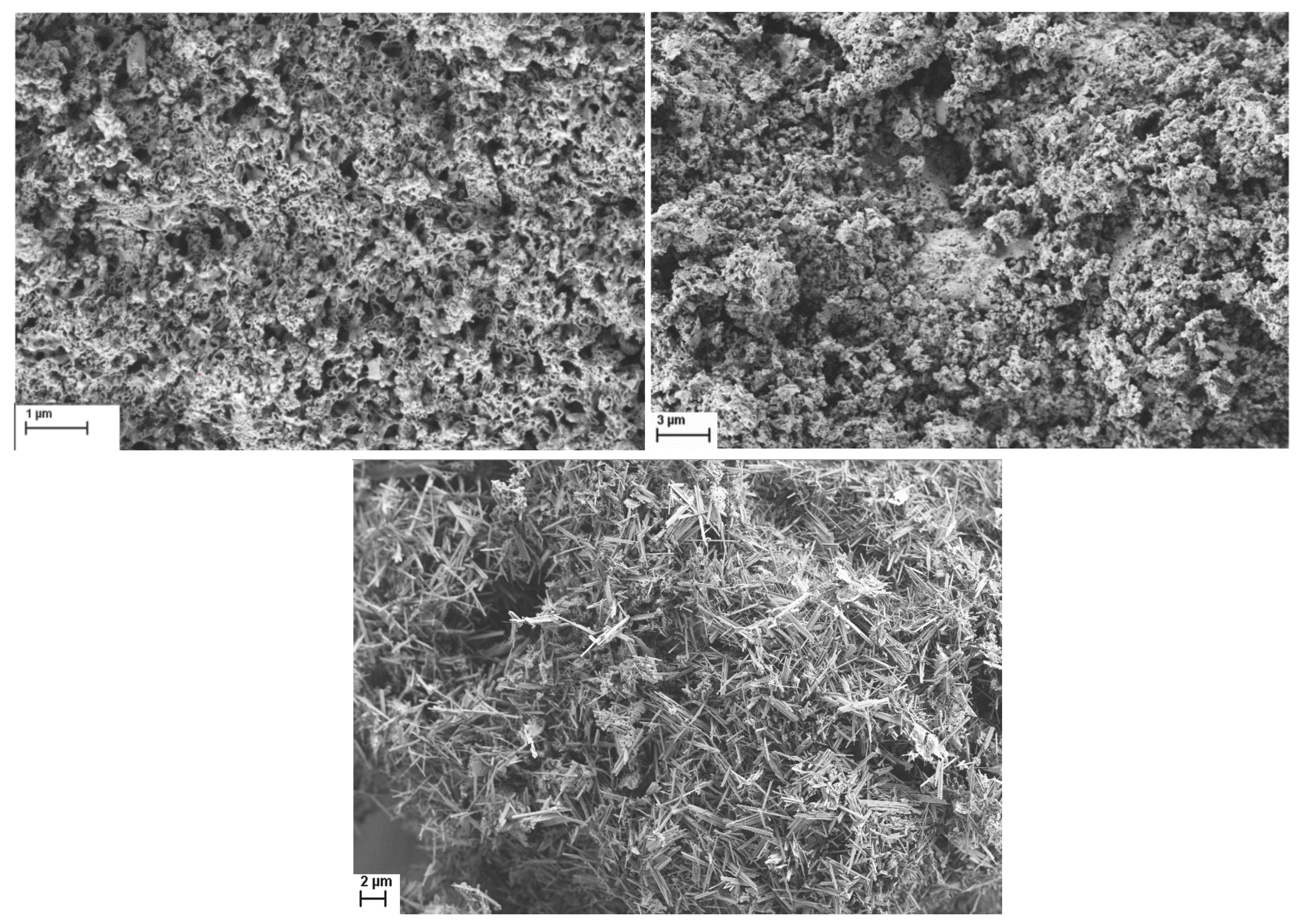 Molecules 30 01794 g009