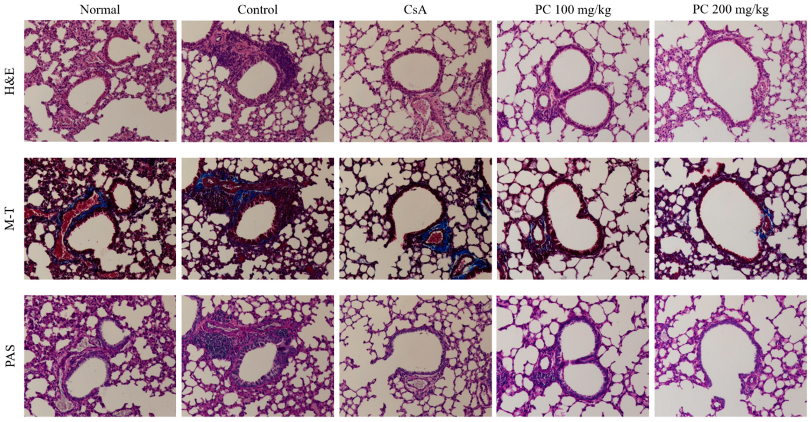 Molecules 30 01795 g003