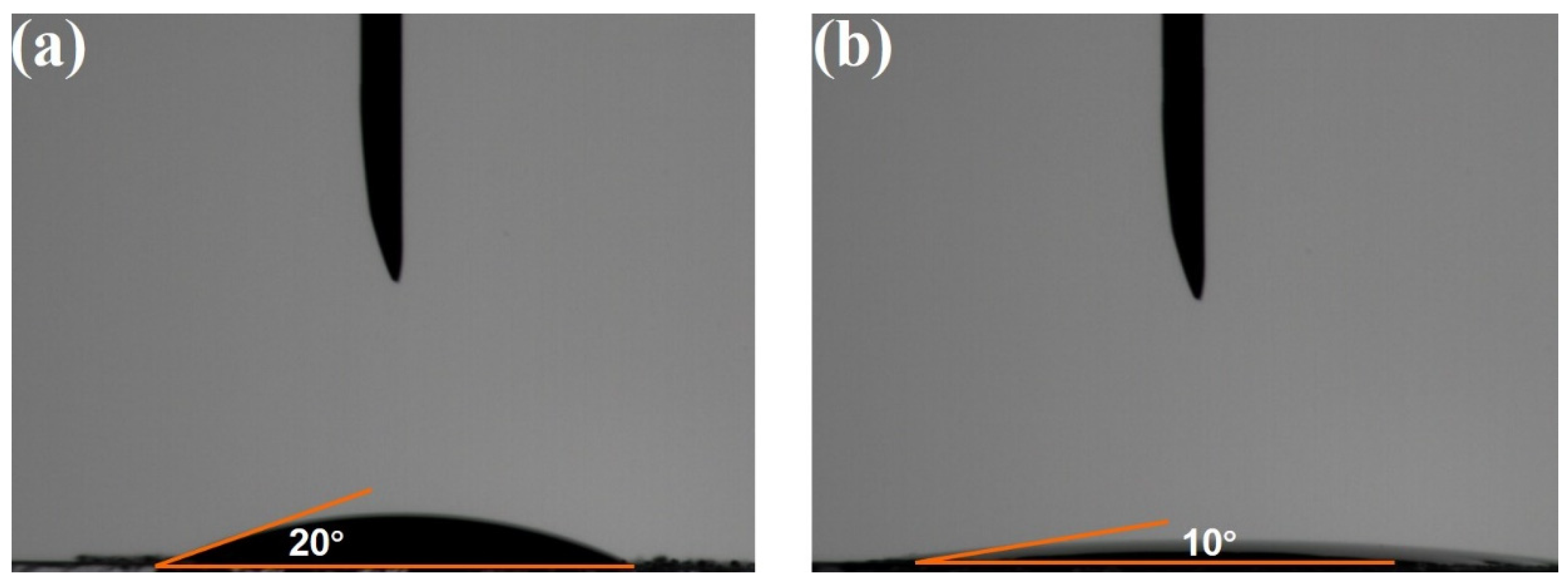 Molecules 30 01804 g010