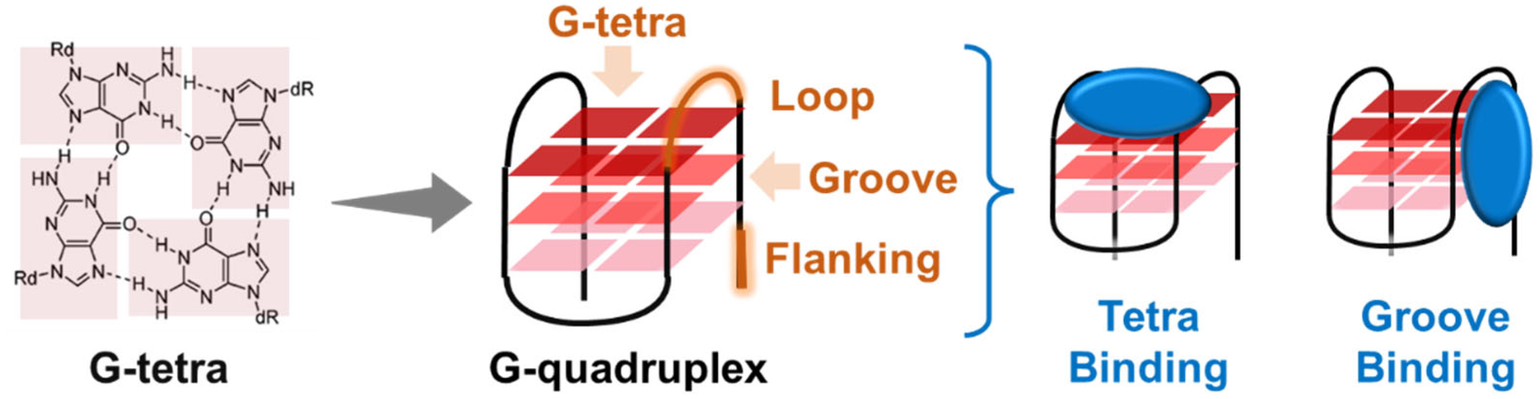 Molecules 30 01805 g002
