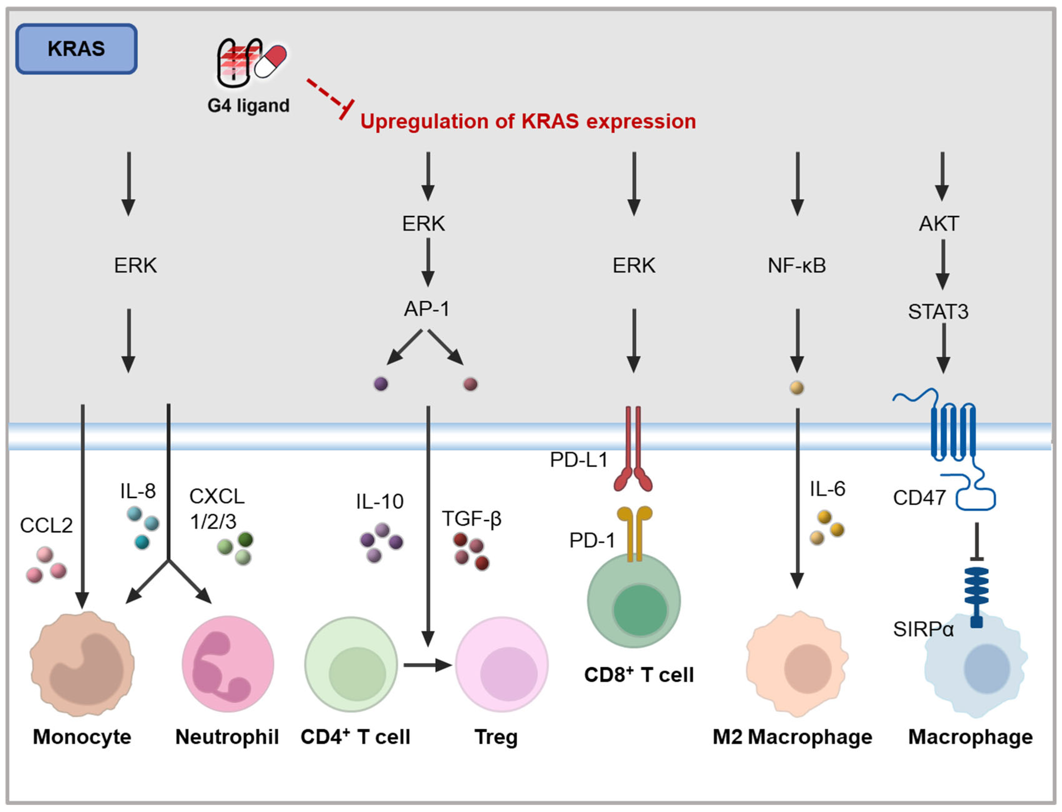 Molecules 30 01805 g007