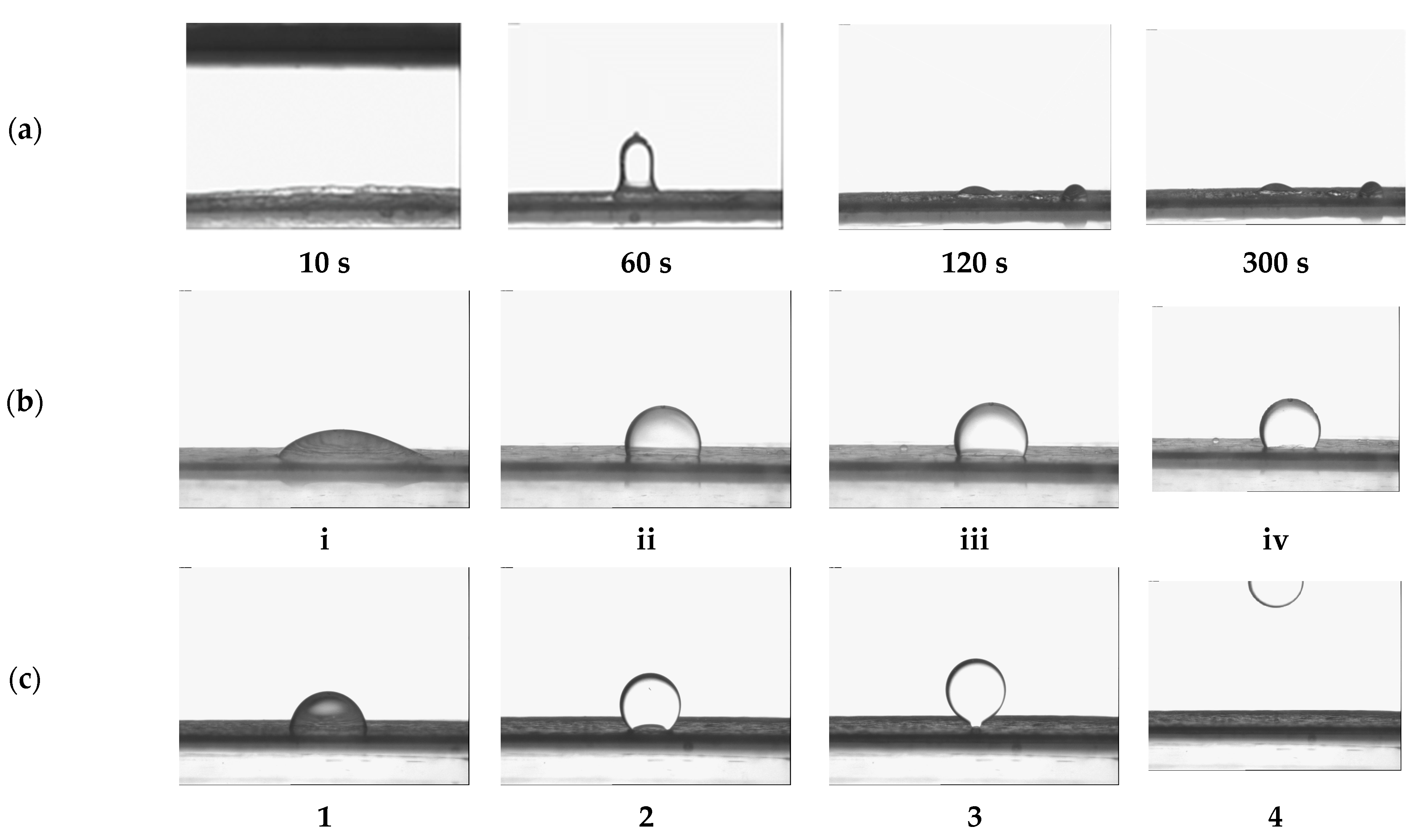 Molecules 30 01813 g002