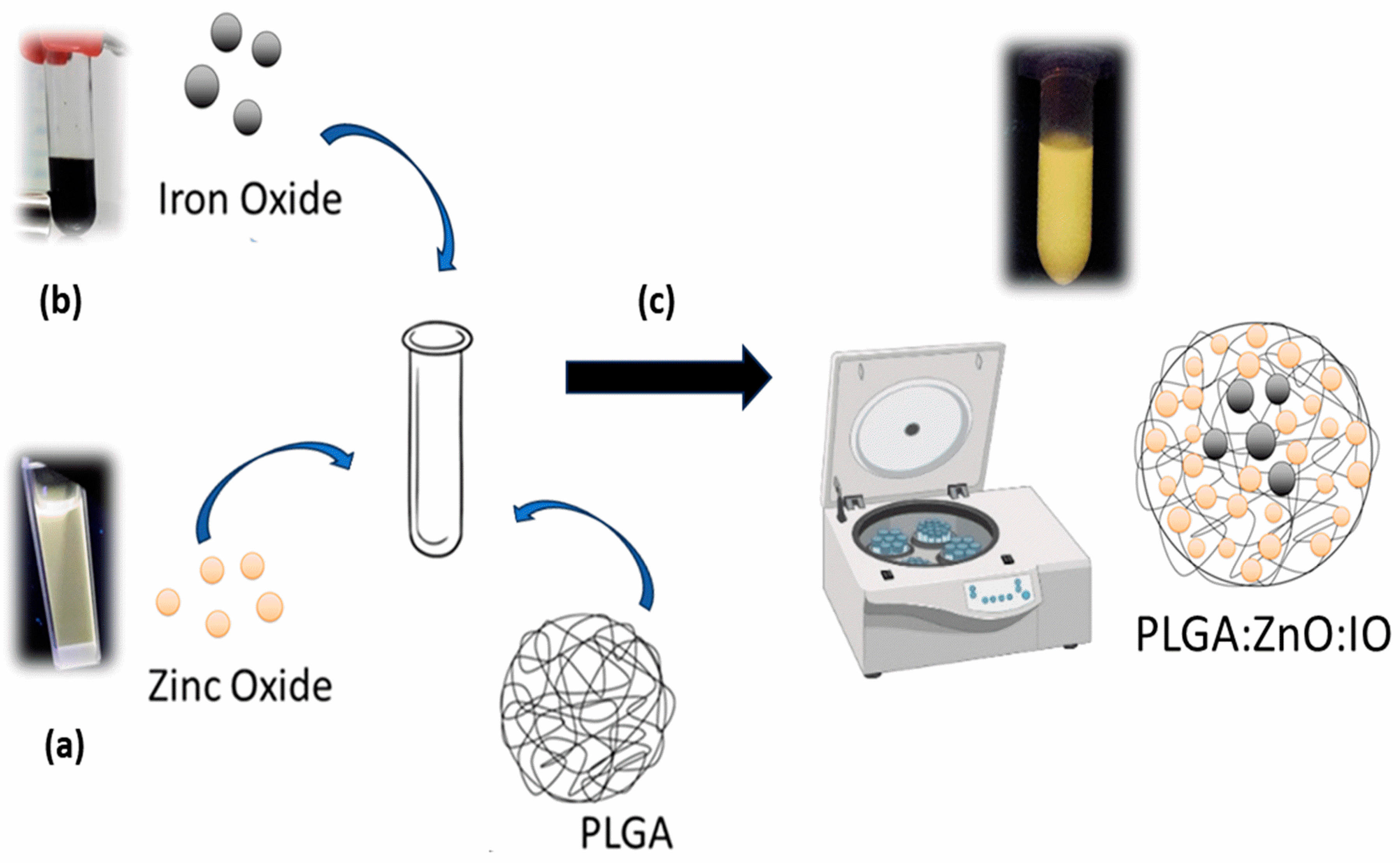 Molecules 30 01818 g001