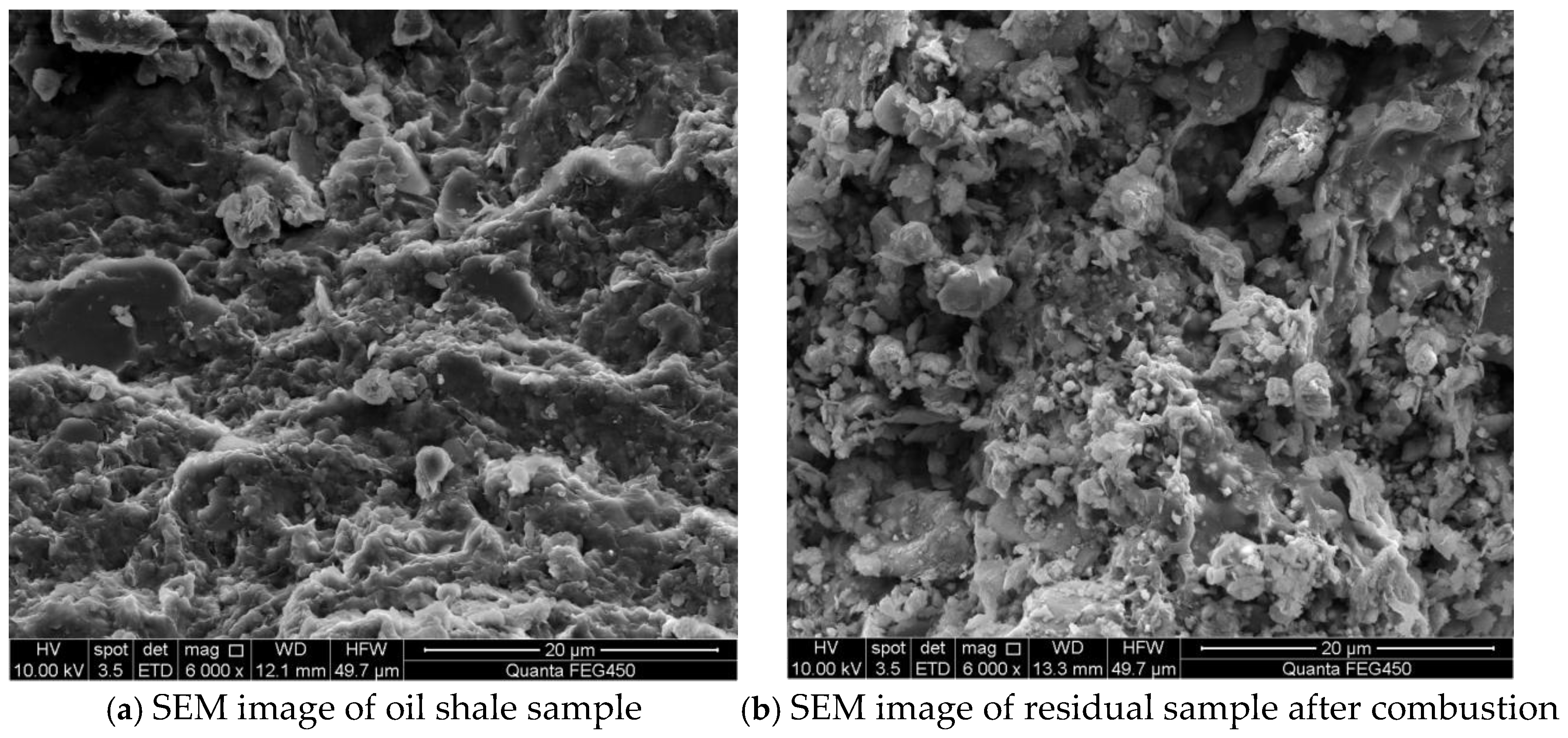 Molecules 30 01819 g009