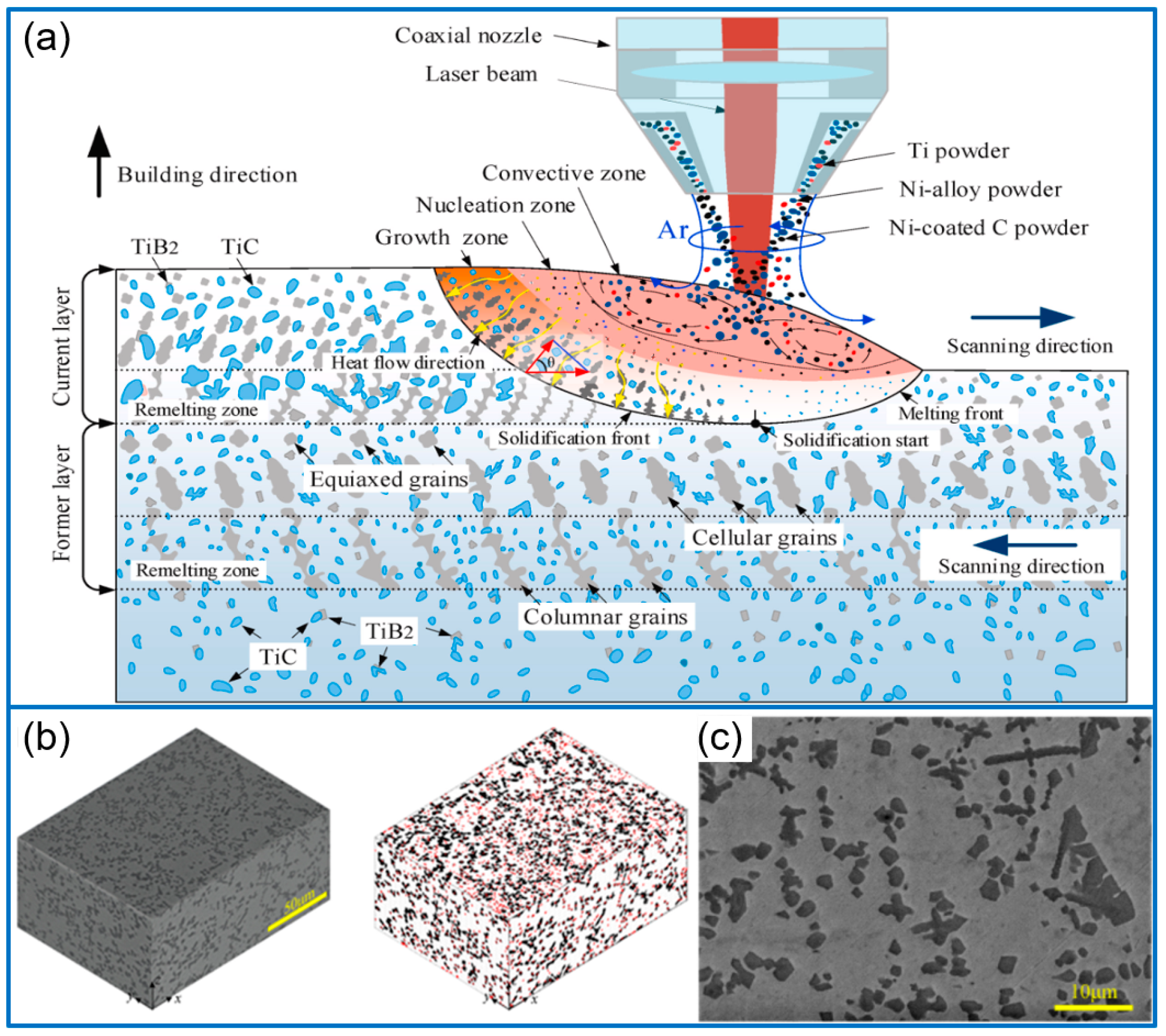 Molecules 30 01820 g004
