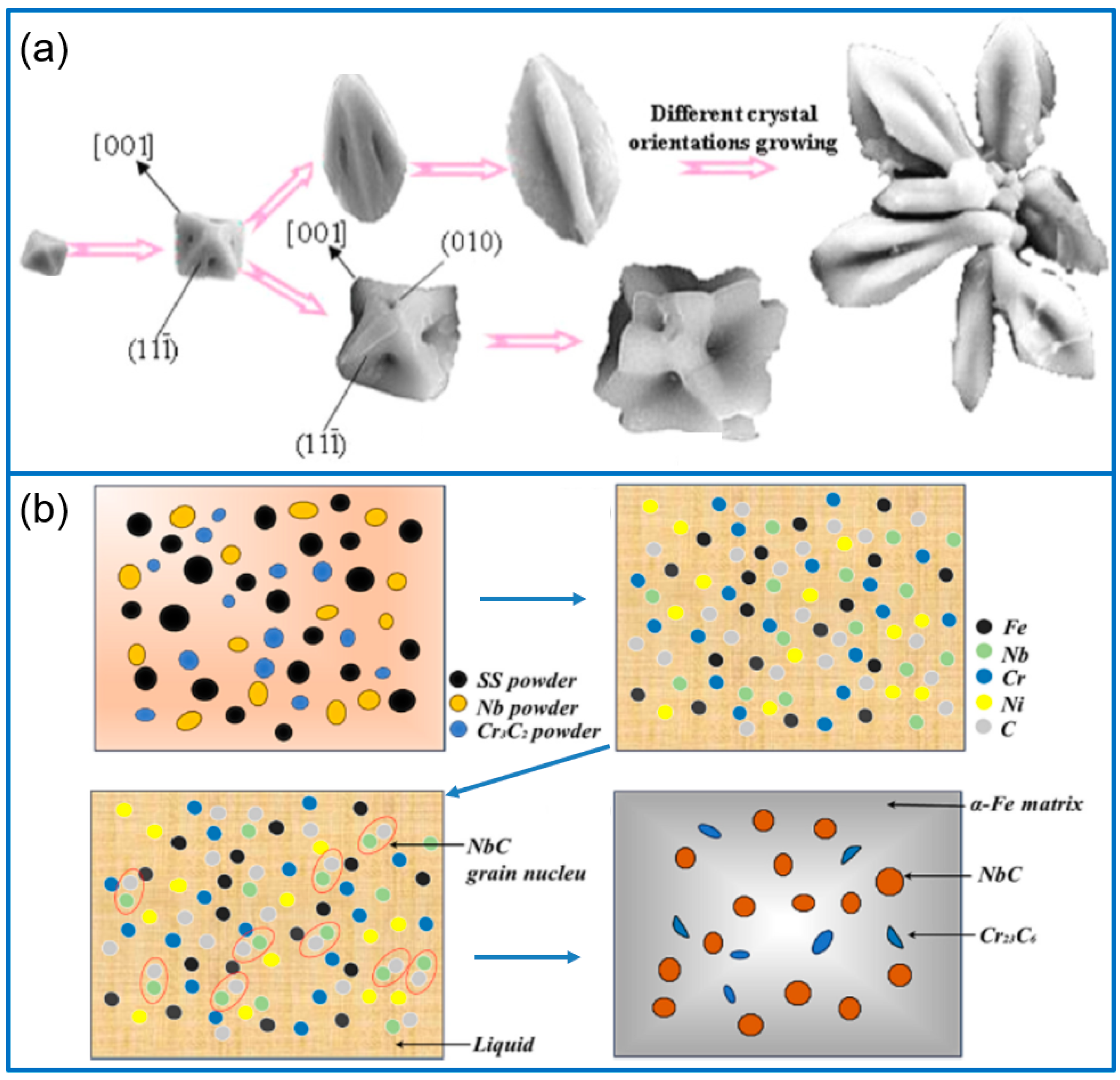 Molecules 30 01820 g006