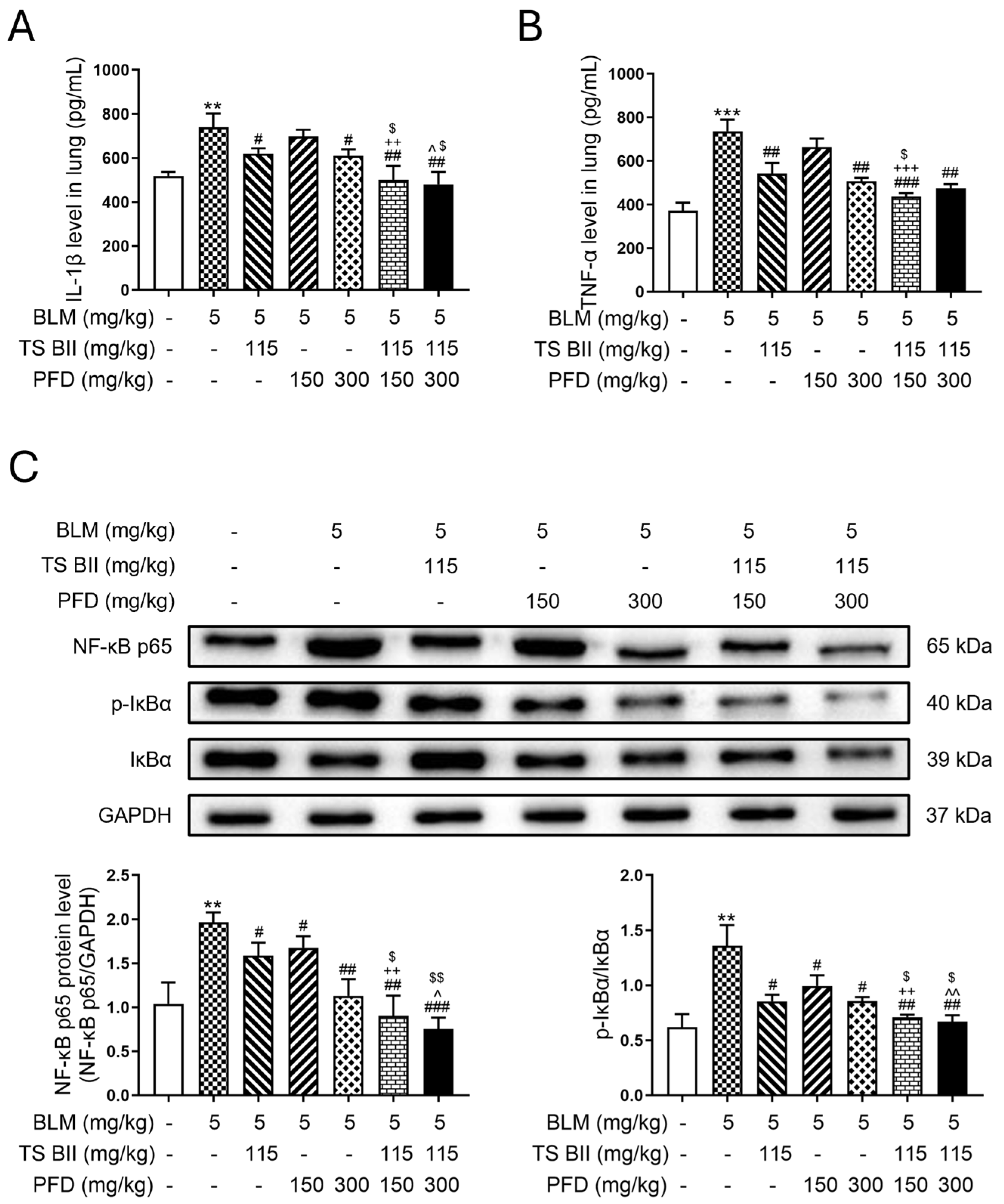 Molecules 30 01821 g001