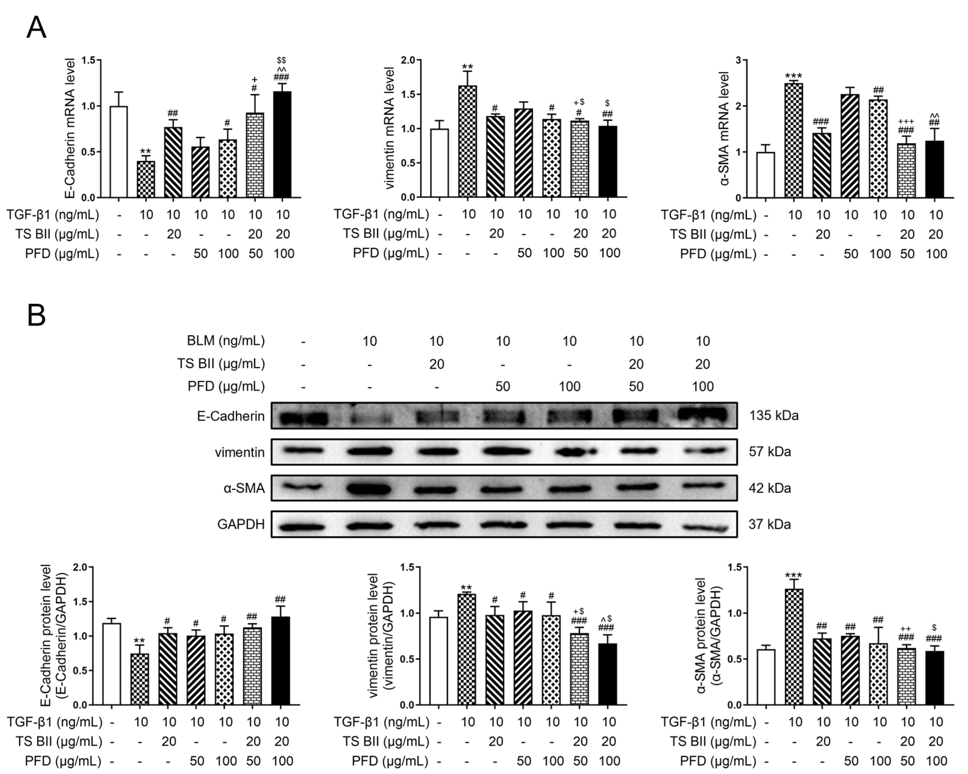 Molecules 30 01821 g007