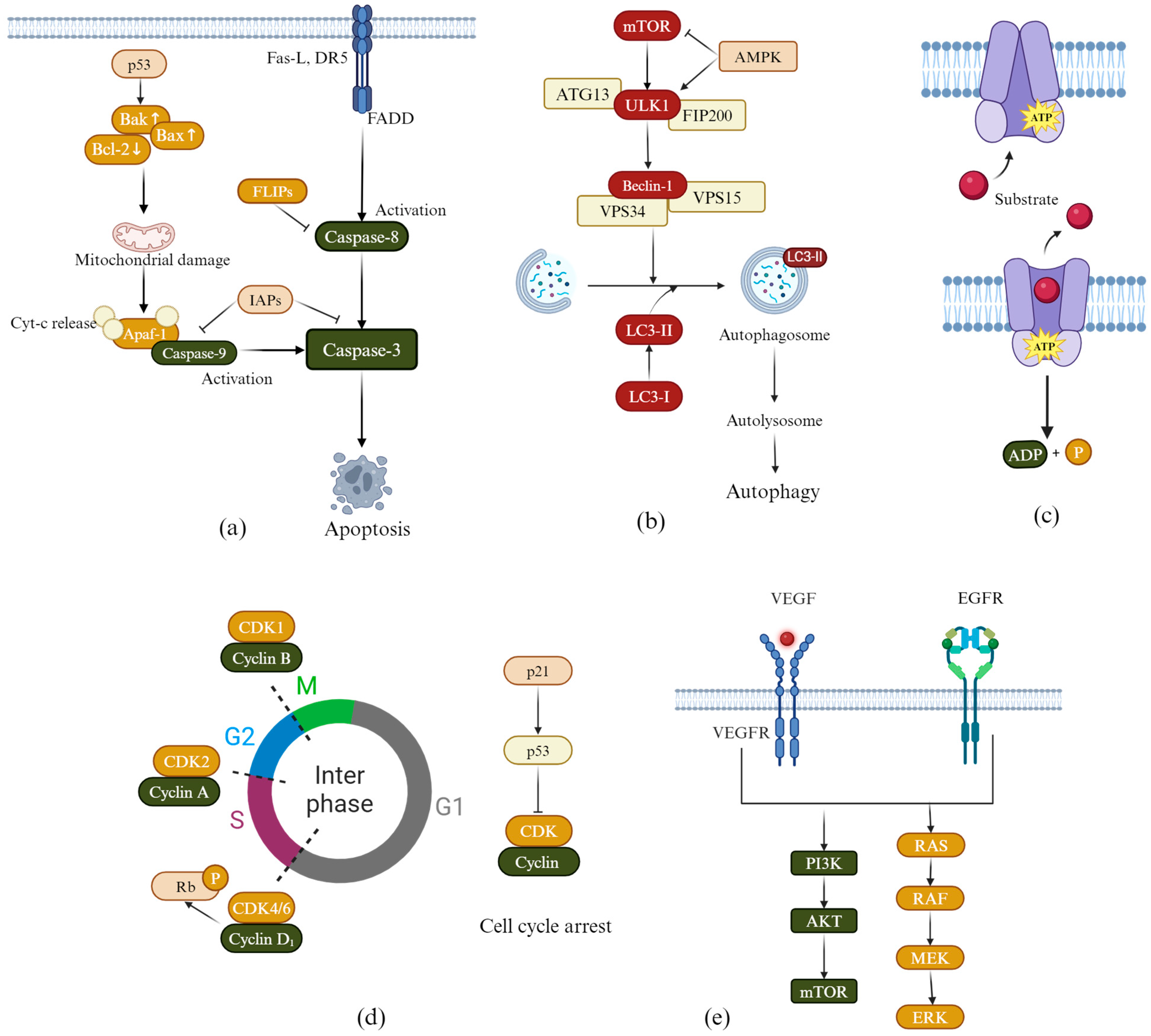 Molecules 30 01827 g002