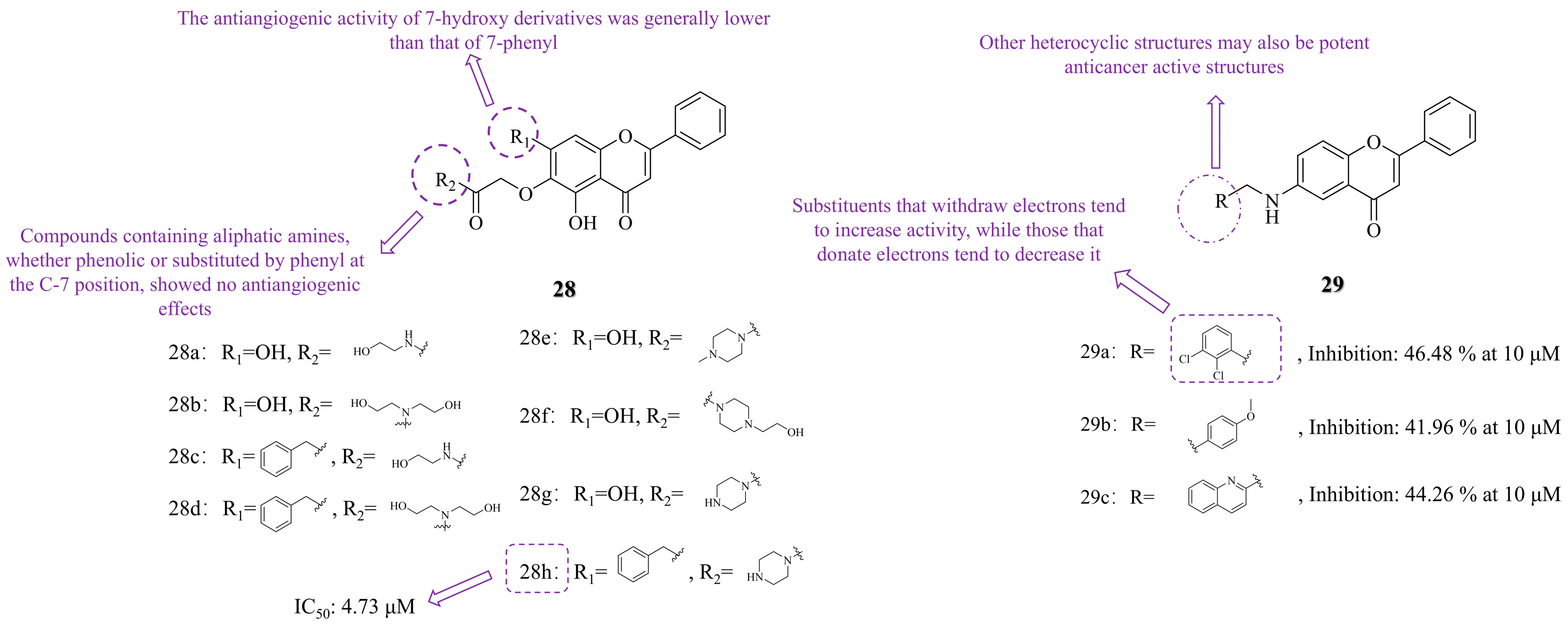 Molecules 30 01827 g005