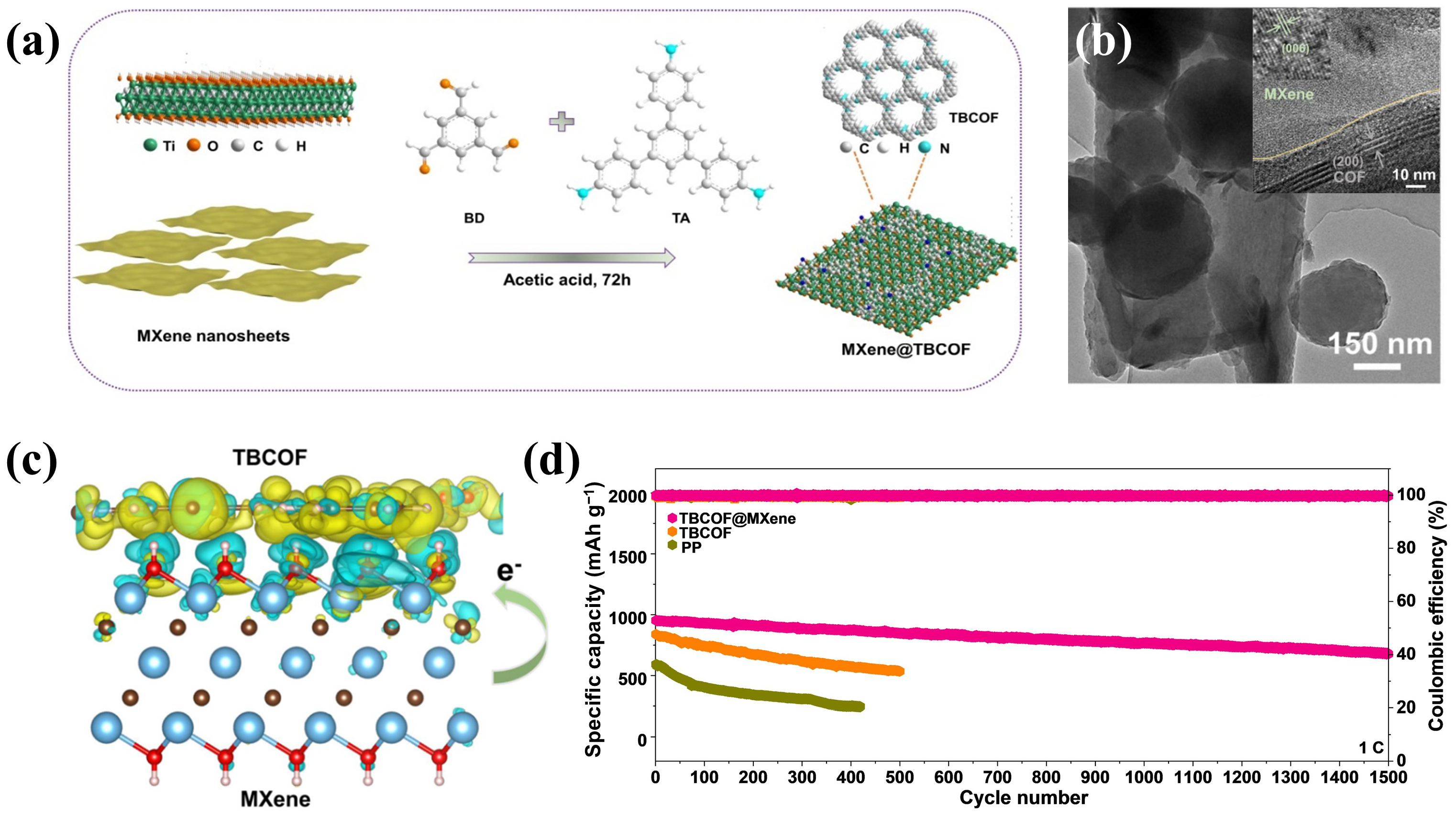 Molecules 30 01833 g006