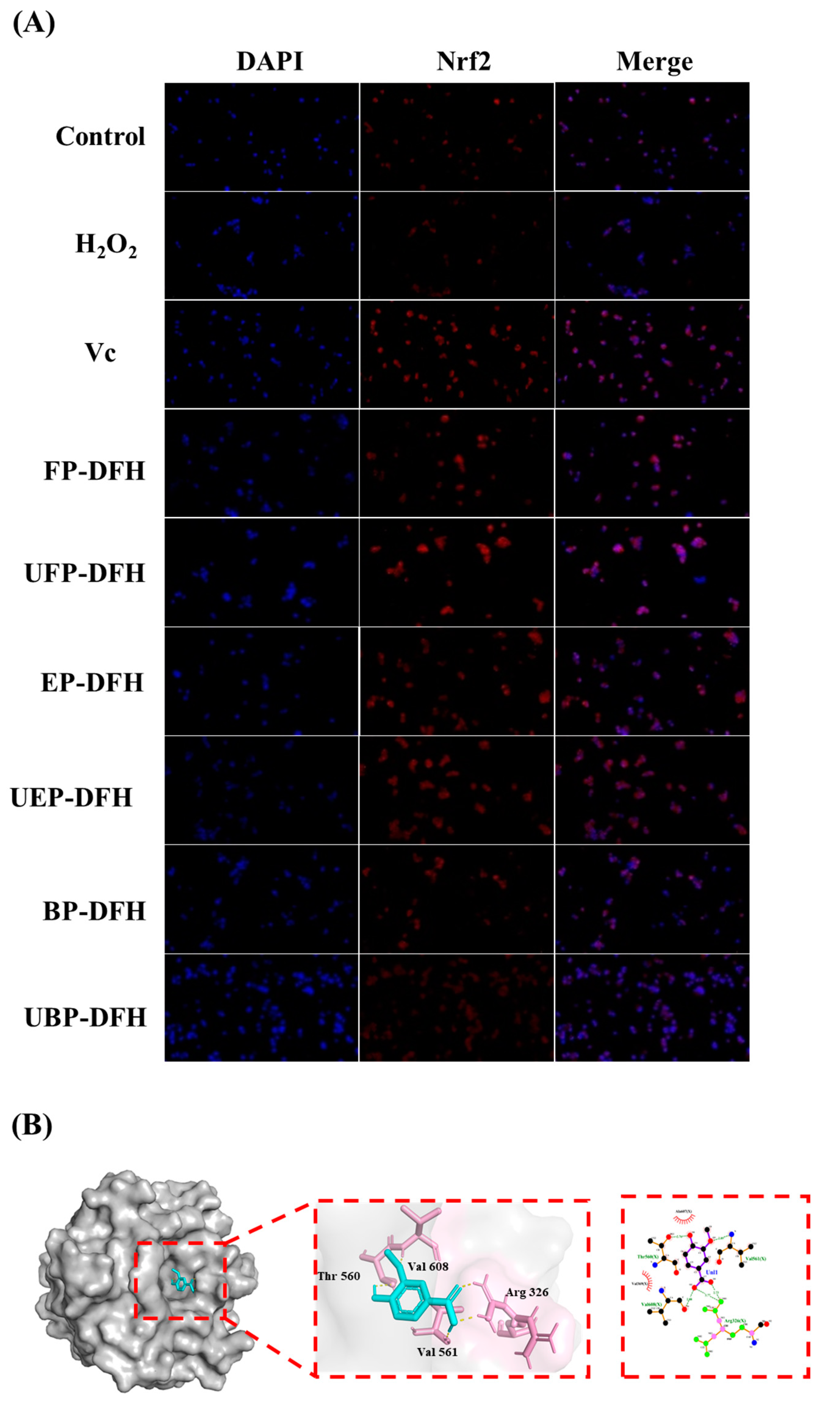 Molecules 30 01836 g006