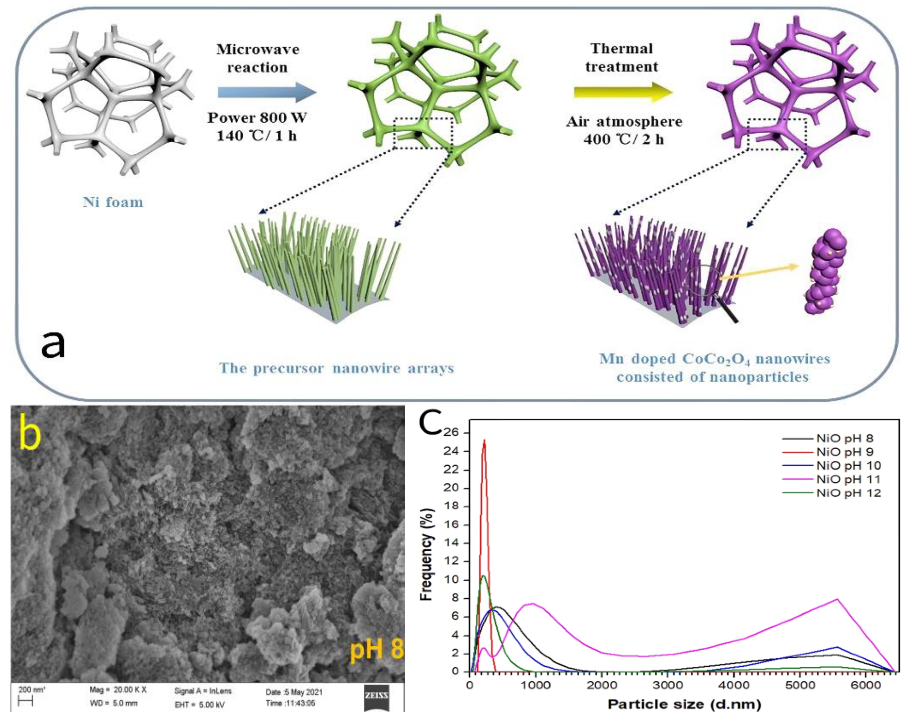 Molecules 30 01843 g008