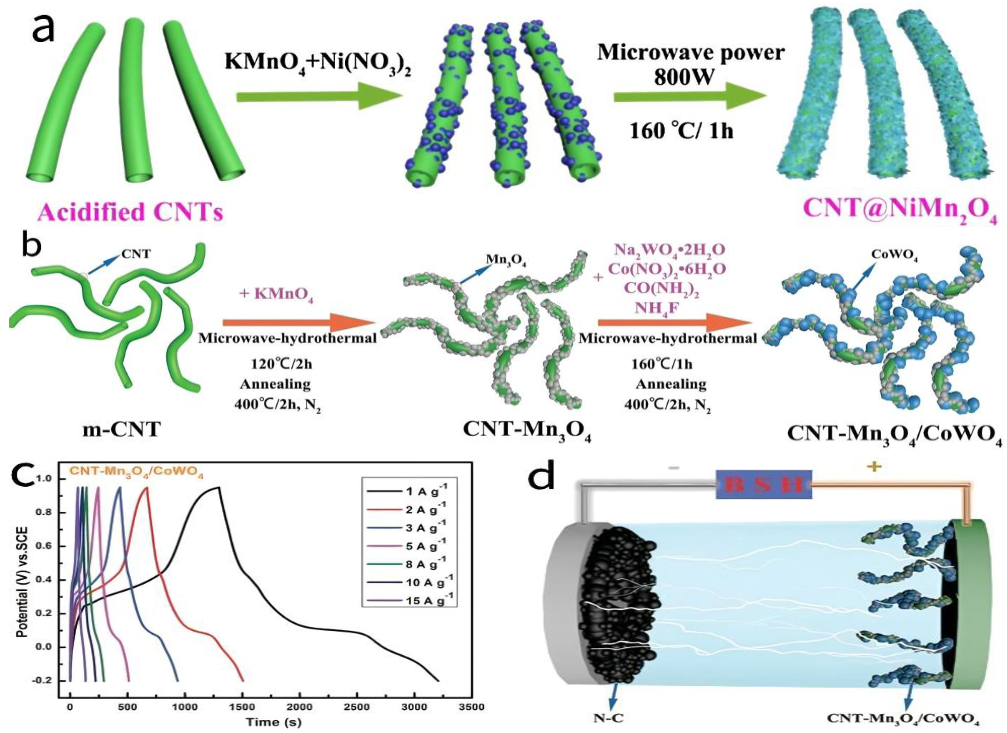 Molecules 30 01843 g012