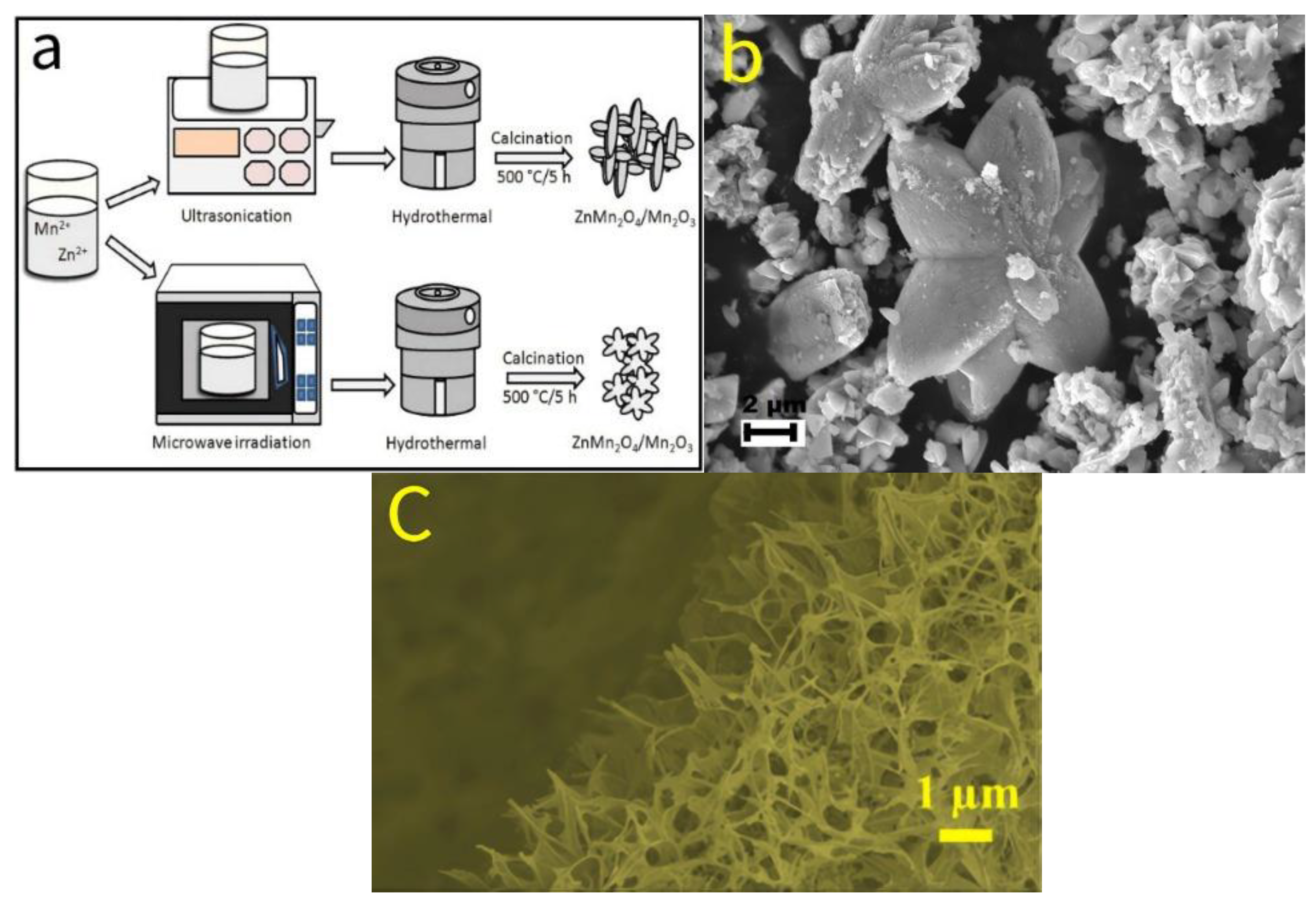 Molecules 30 01843 g013