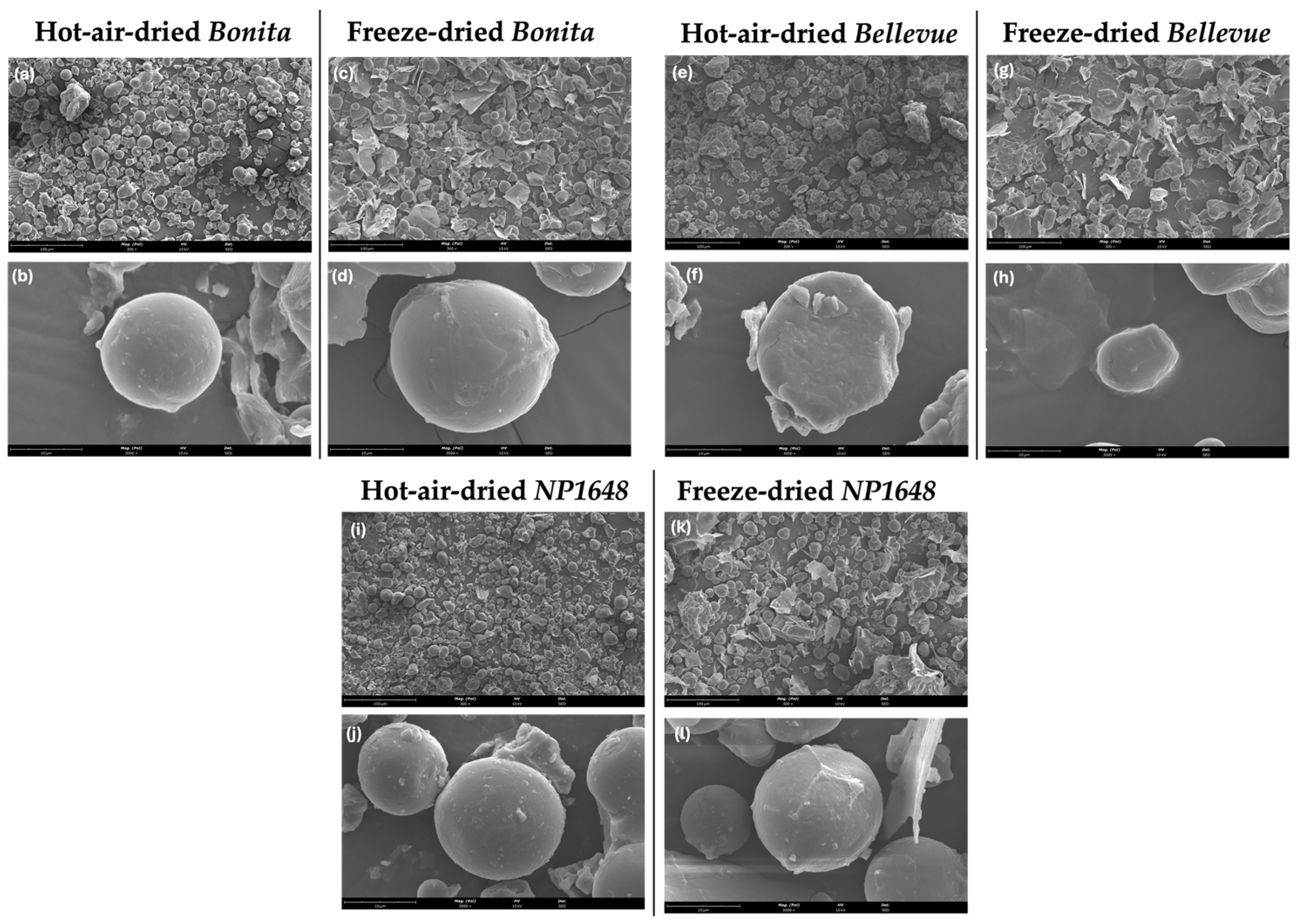 Molecules 30 01846 g002