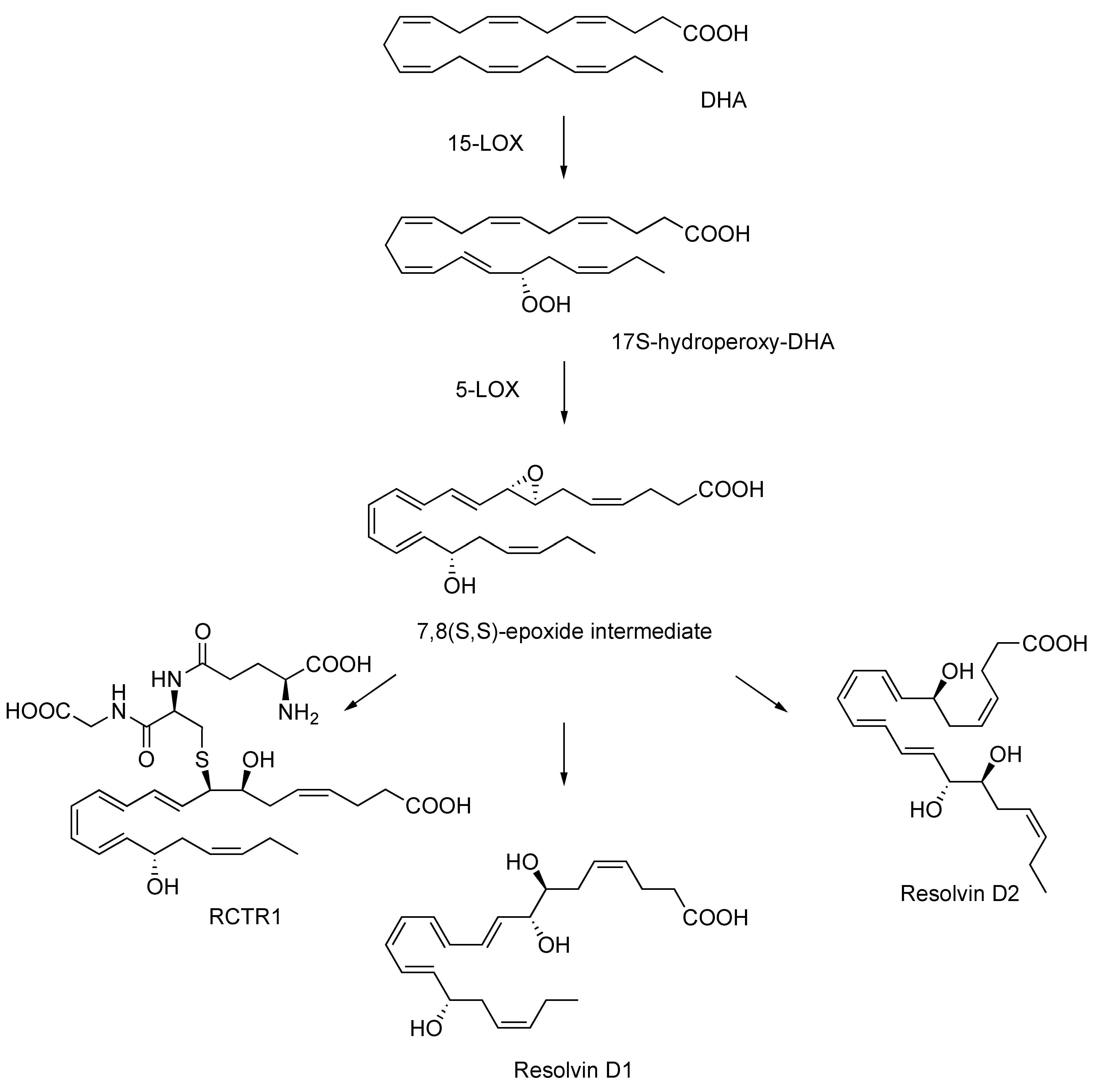Molecules 30 01858 g001