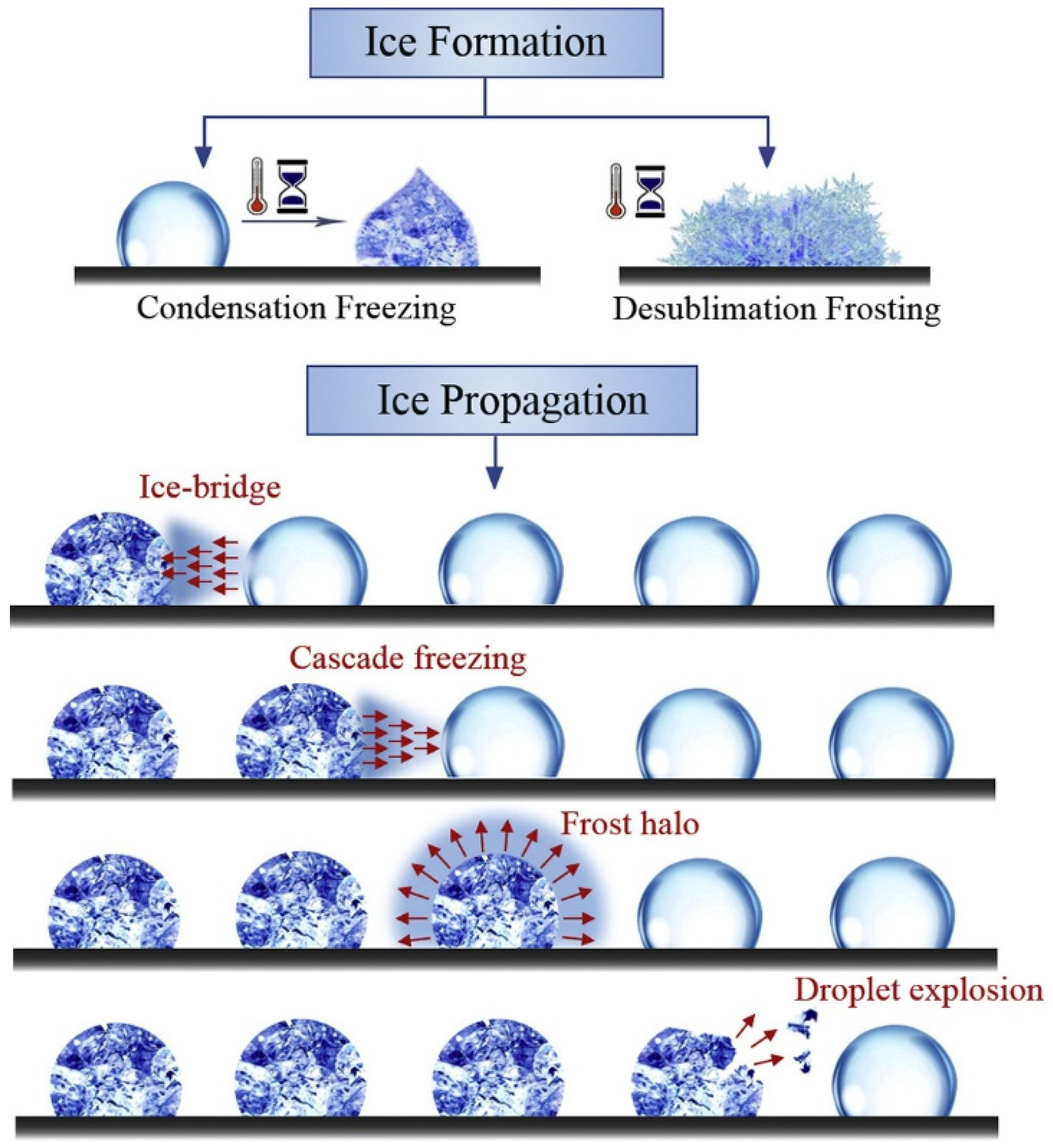 Molecules 30 01865 g002