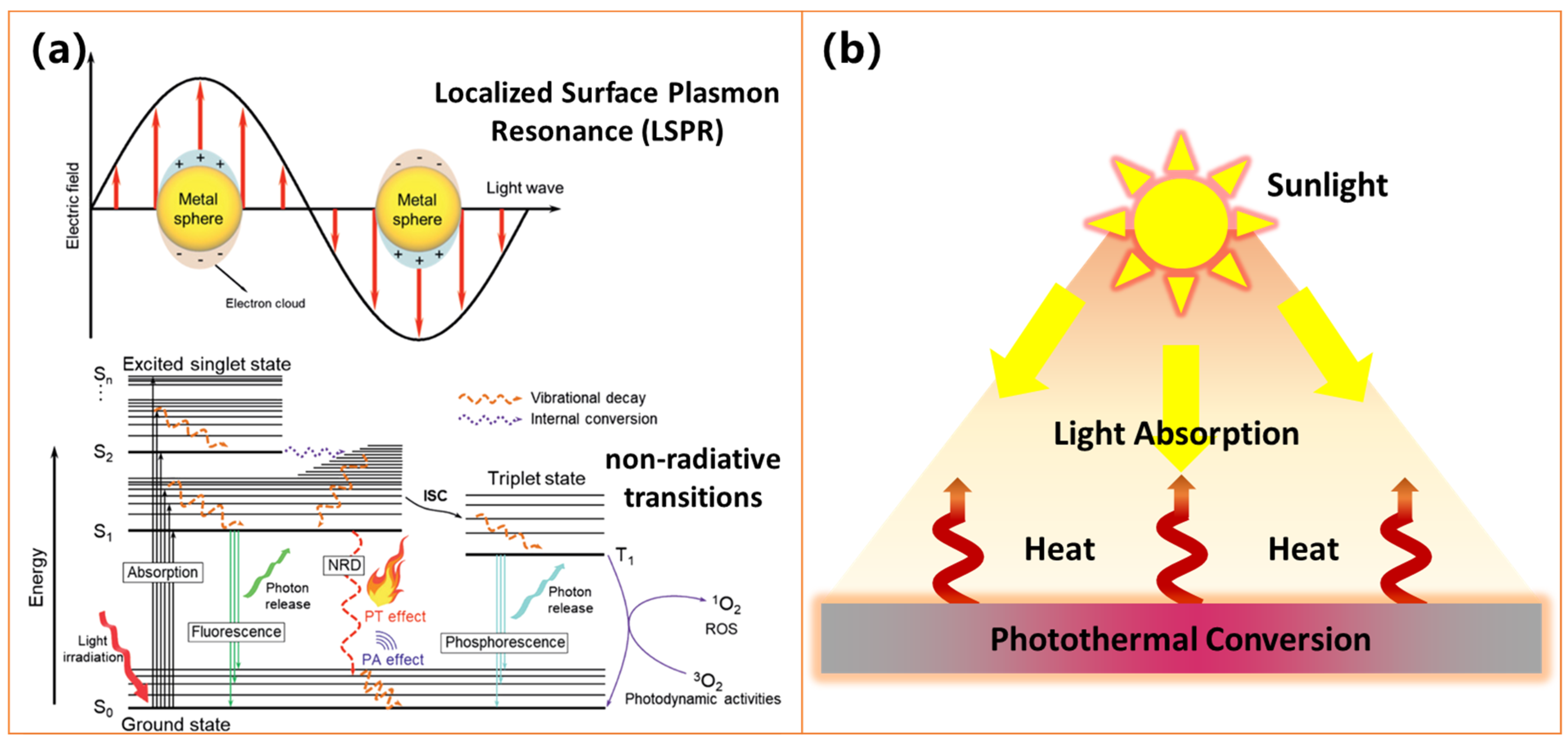 Molecules 30 01865 g004