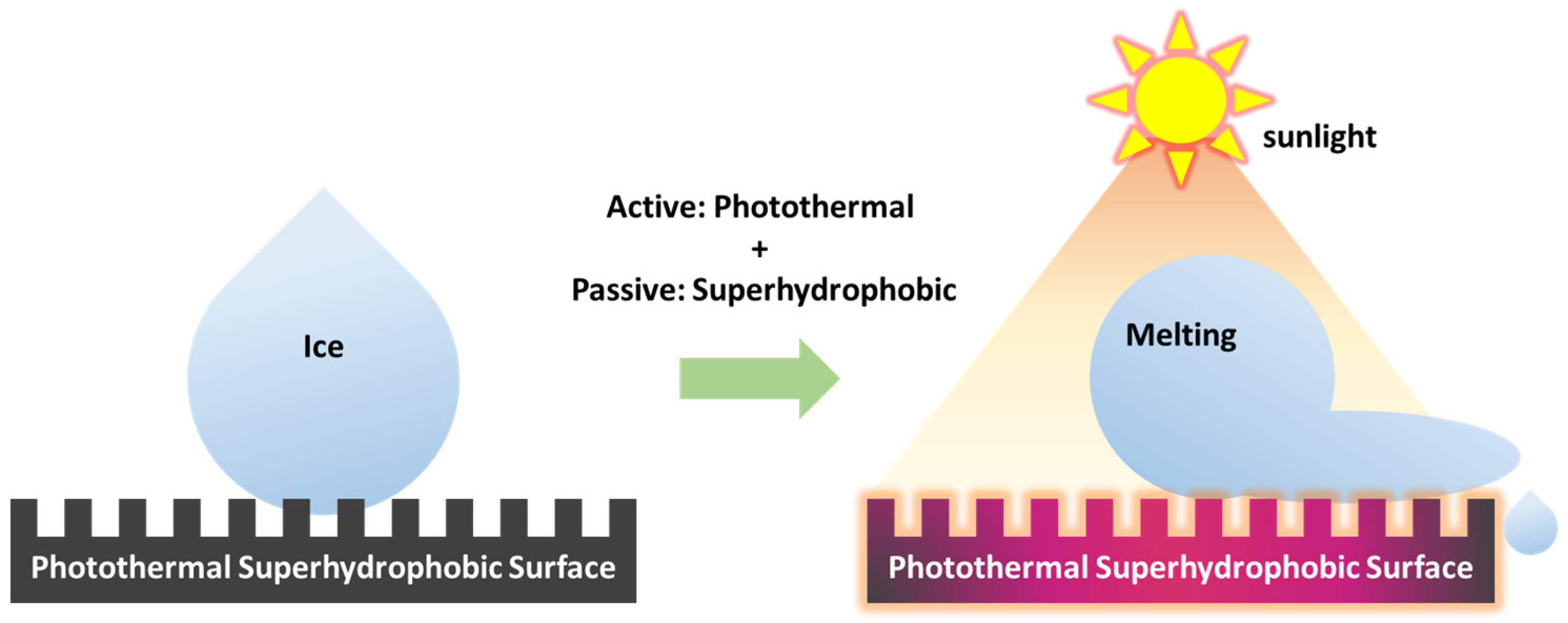 Molecules 30 01865 g005