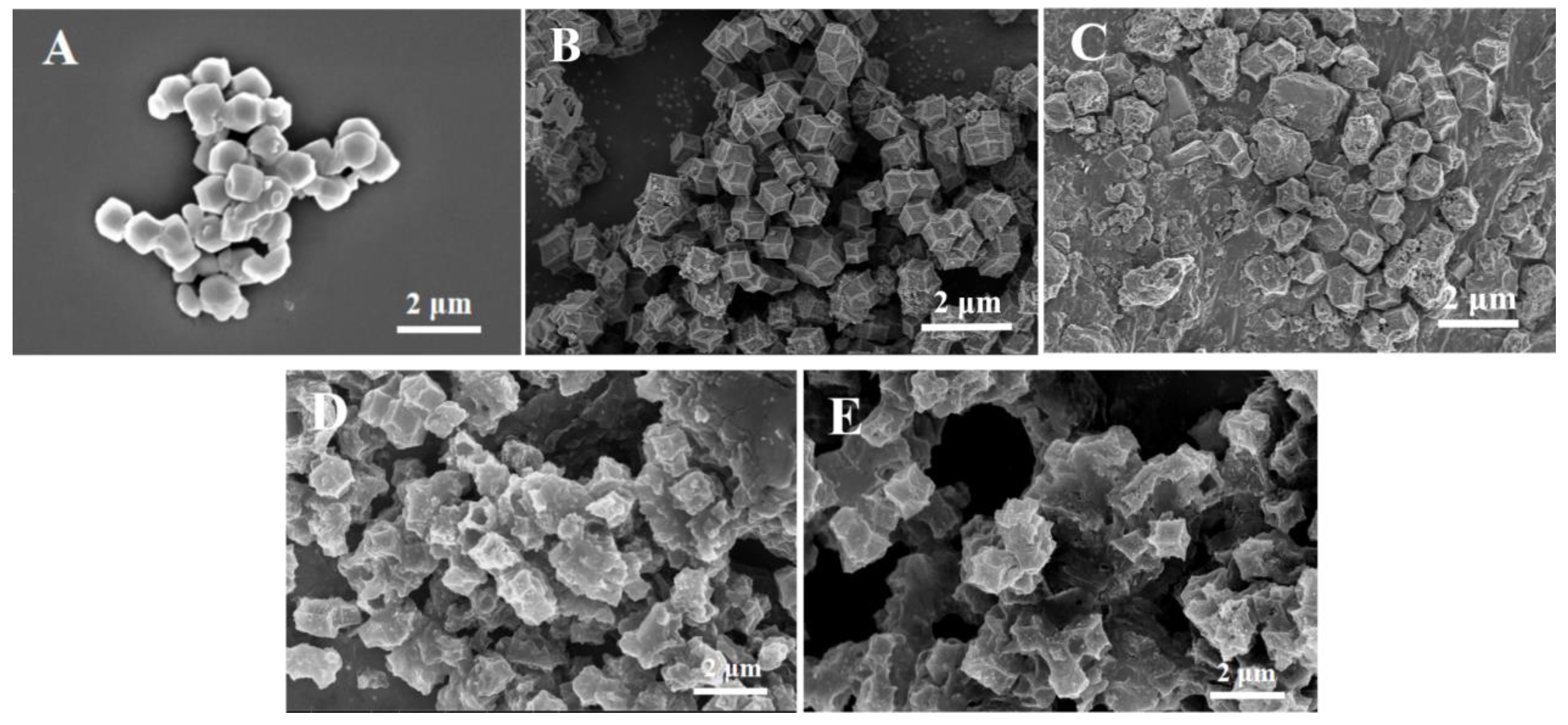 Molecules 30 01869 g001
