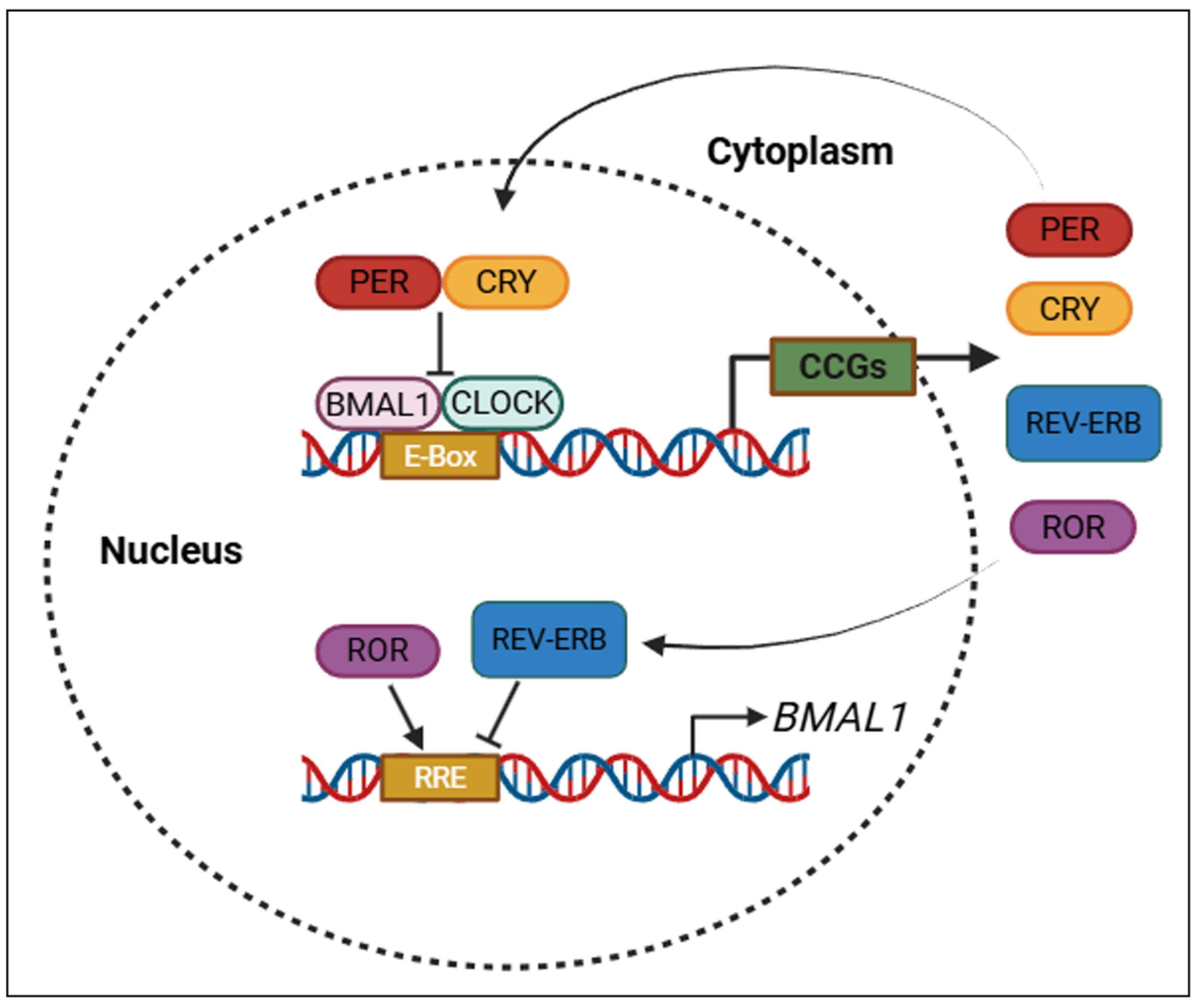 Molecules 30 01888 g002