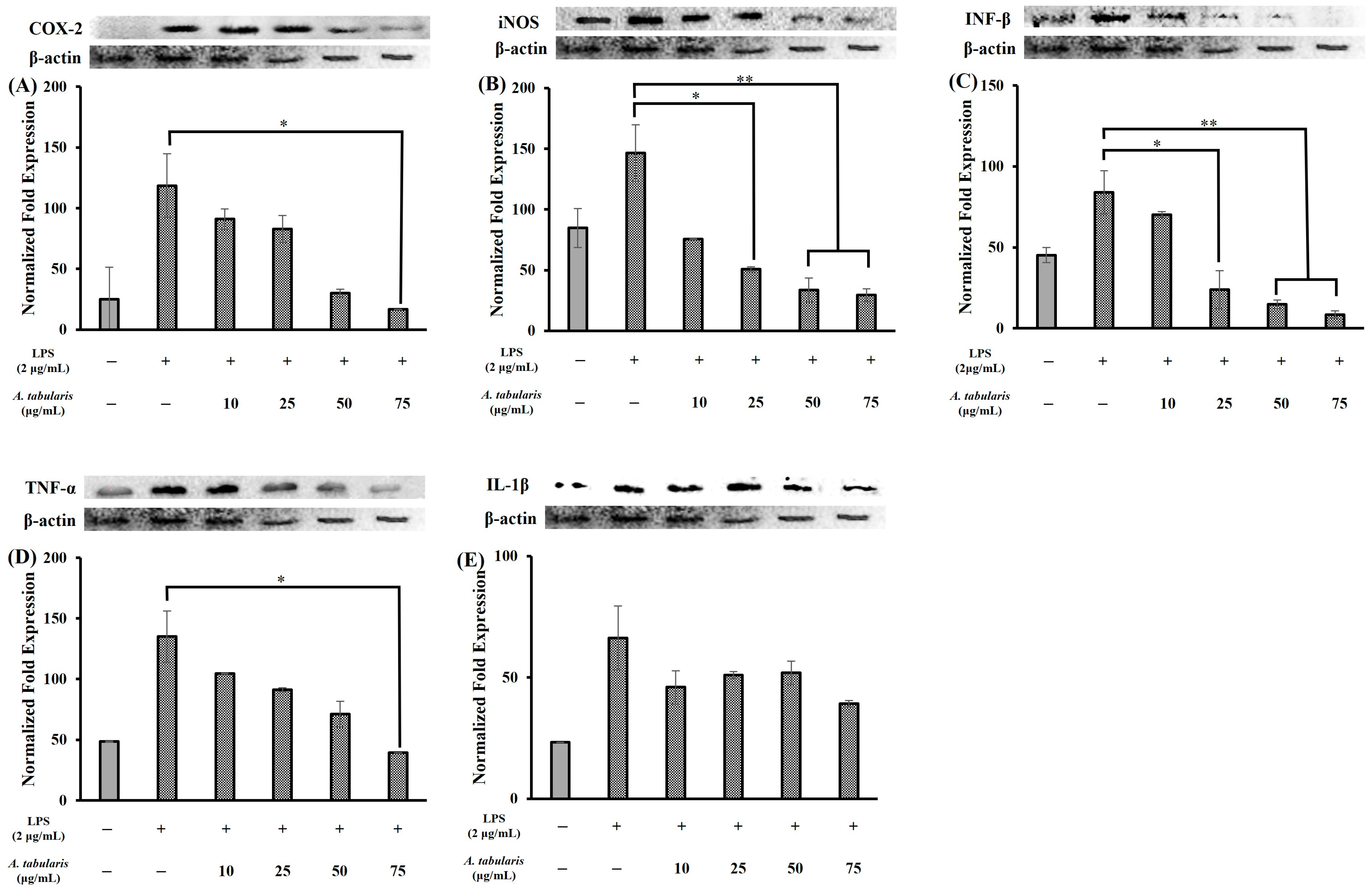 Molecules 30 01892 g009