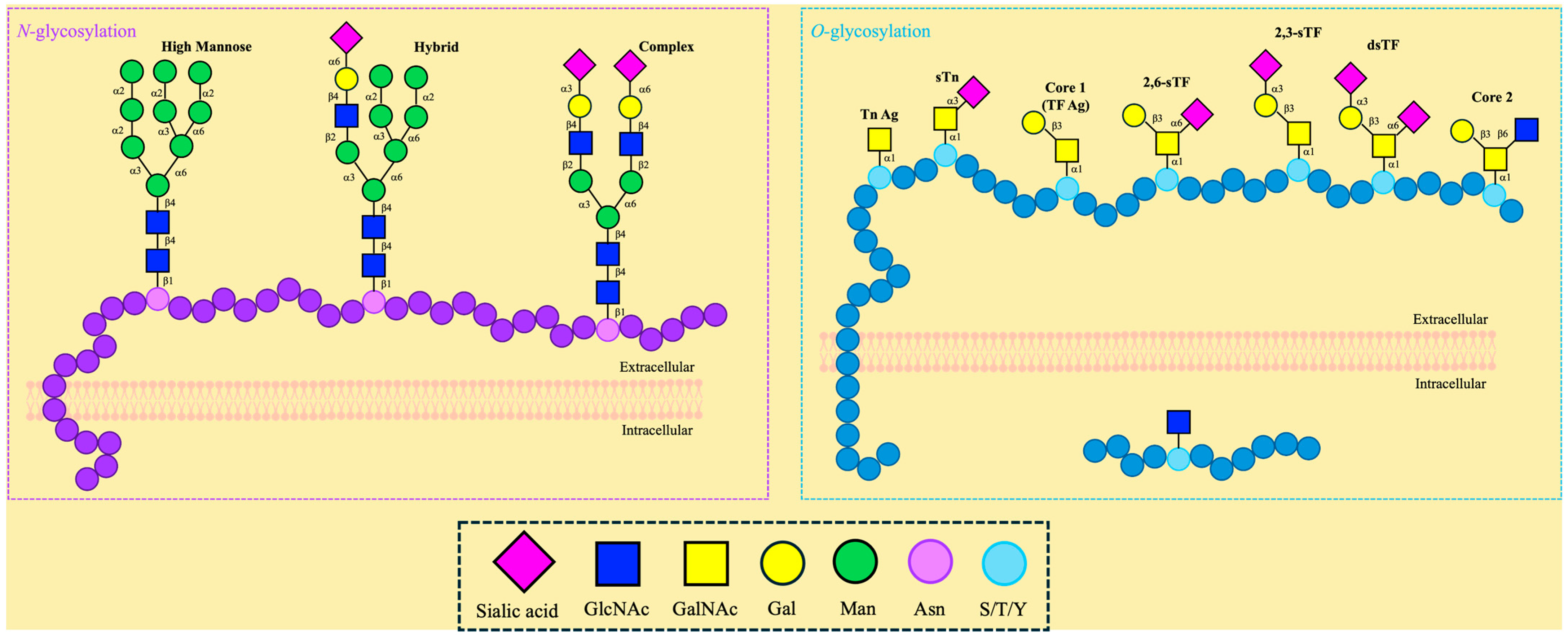 Molecules 30 01895 g002