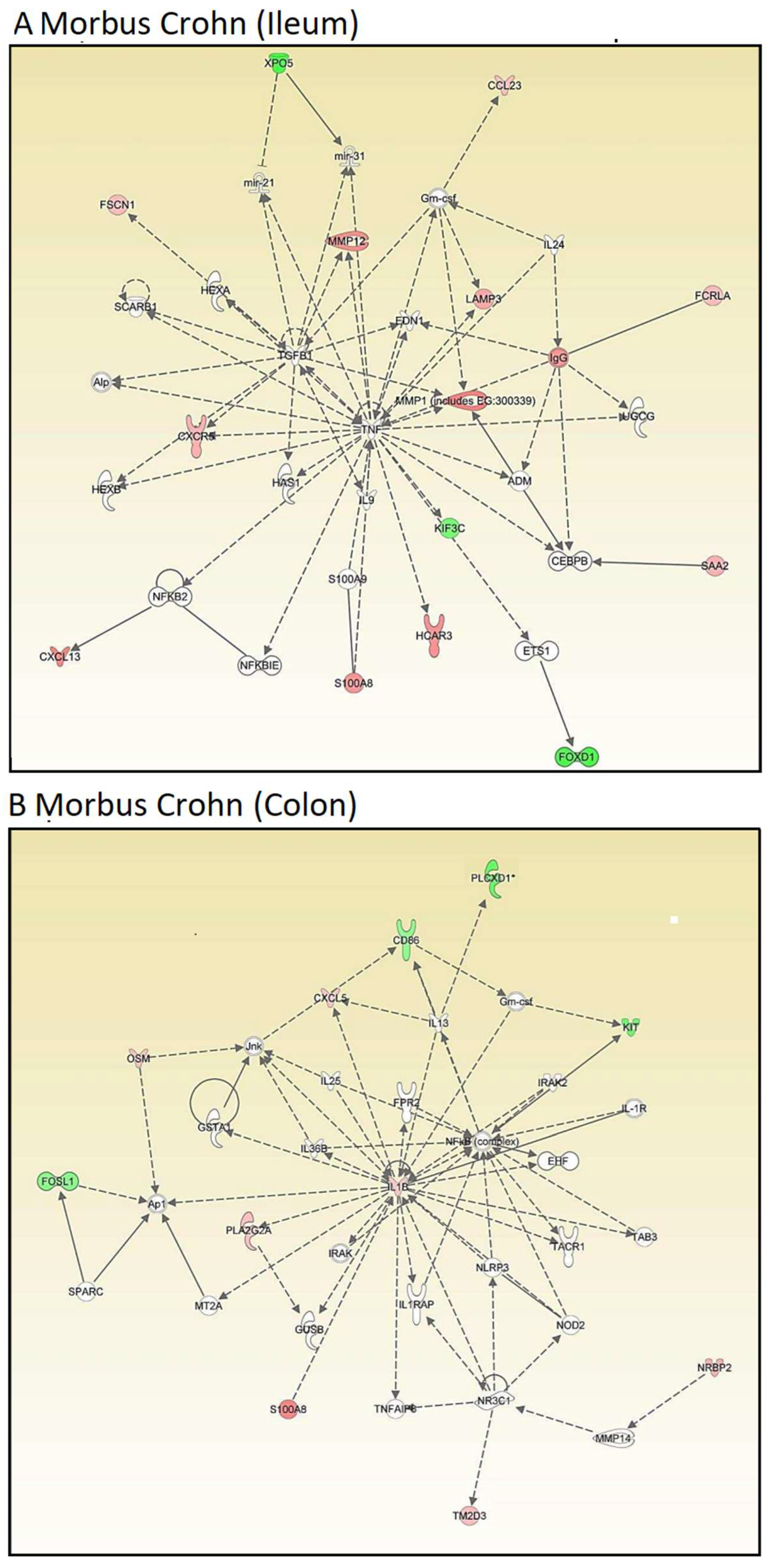 Molecules 30 01897 g002