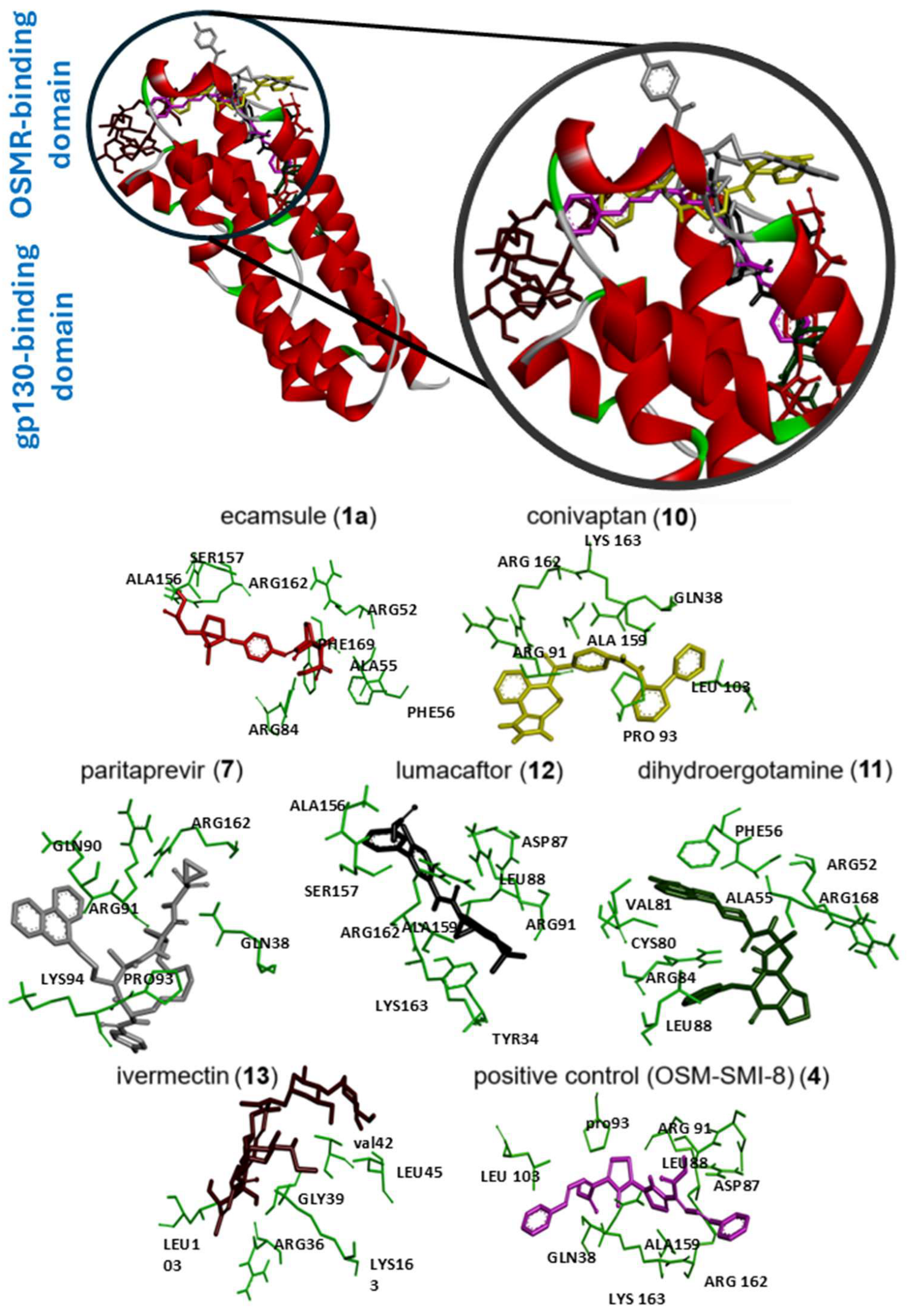 Molecules 30 01897 g007