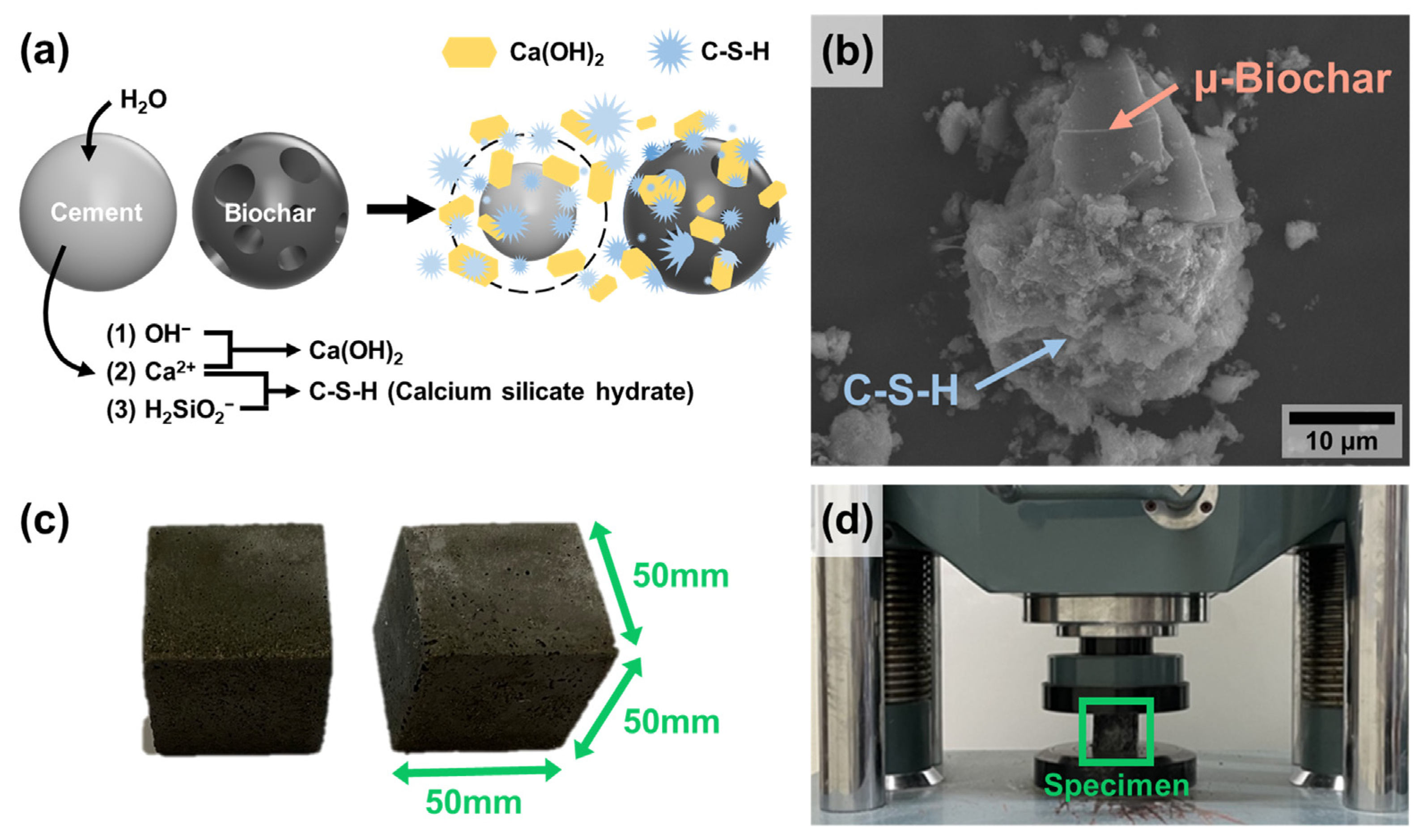 Molecules 30 01898 g007