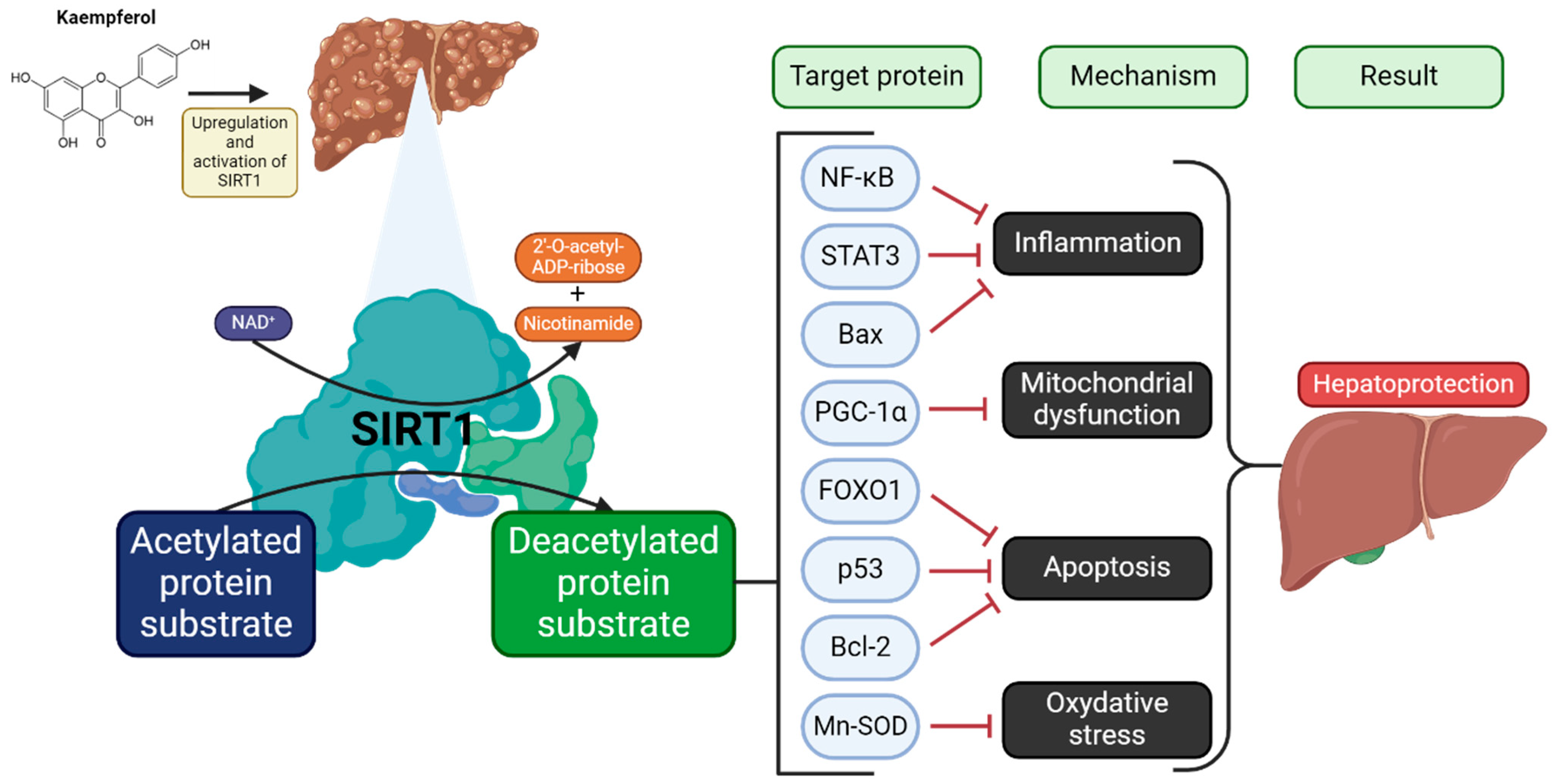 Molecules 30 01913 g003