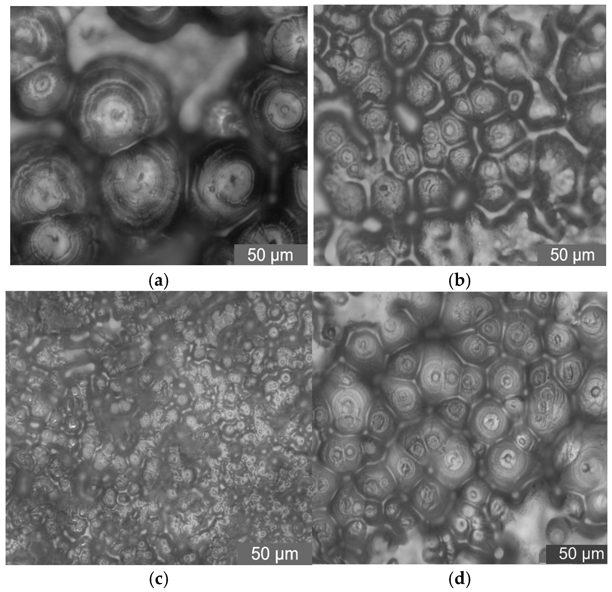 Molecules 30 01914 g011