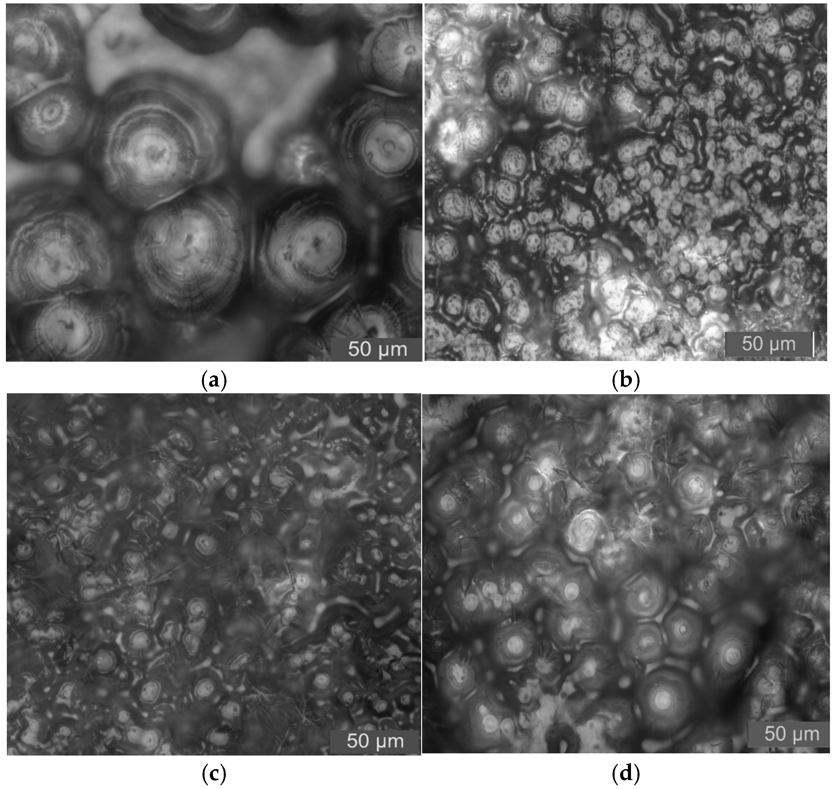 Molecules 30 01914 g012