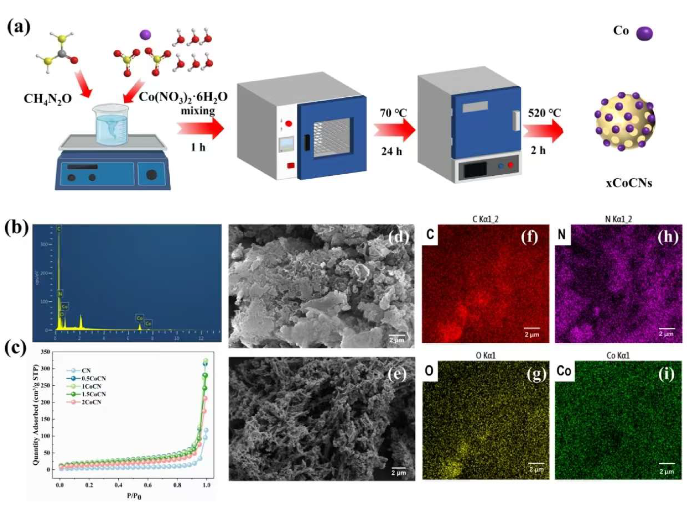 Molecules 30 01917 g001
