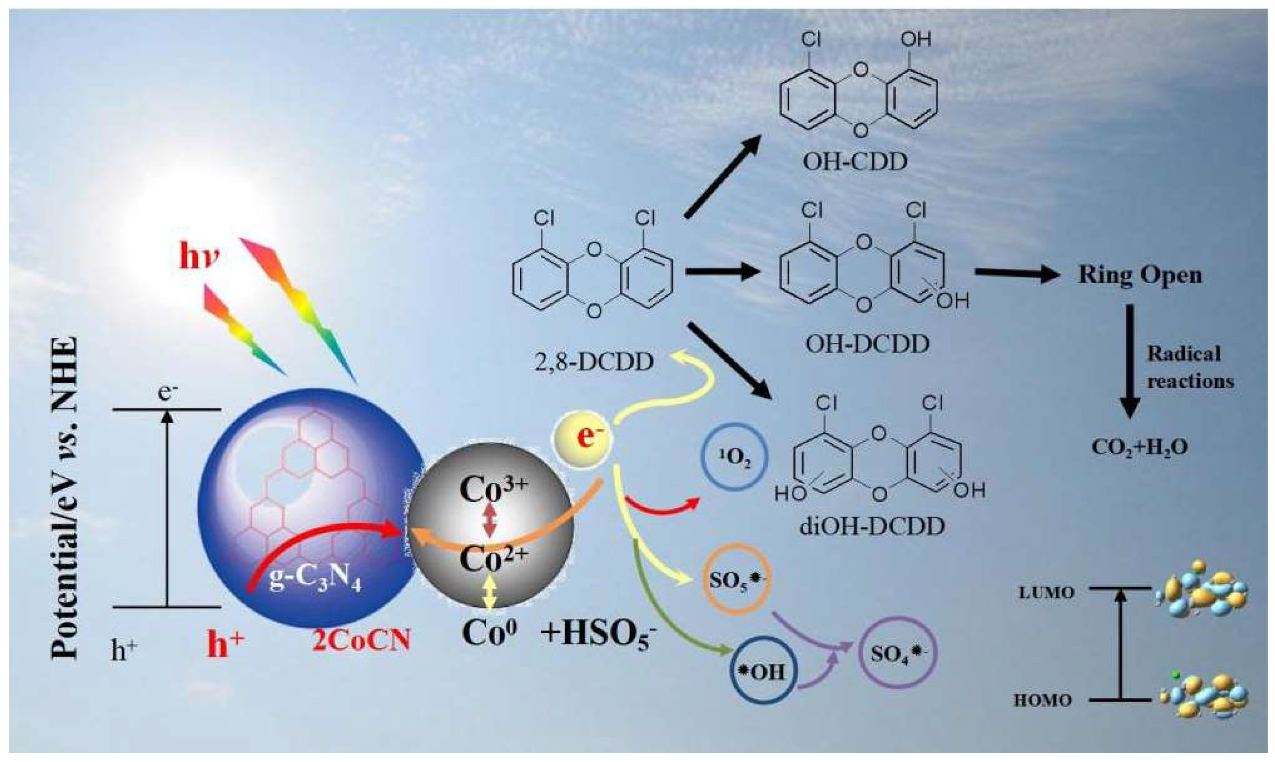 Molecules 30 01917 g009