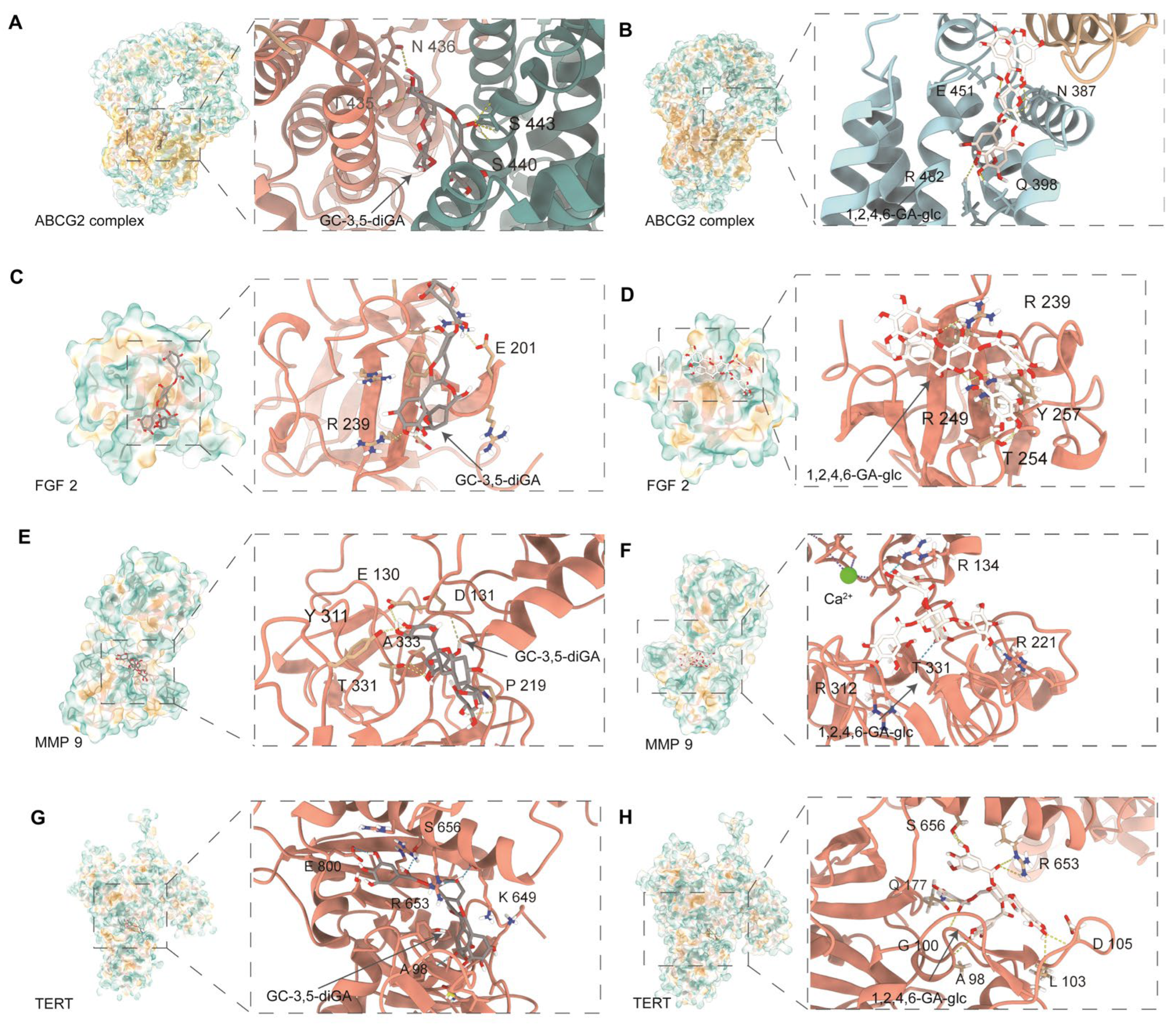 Molecules 30 01919 g004
