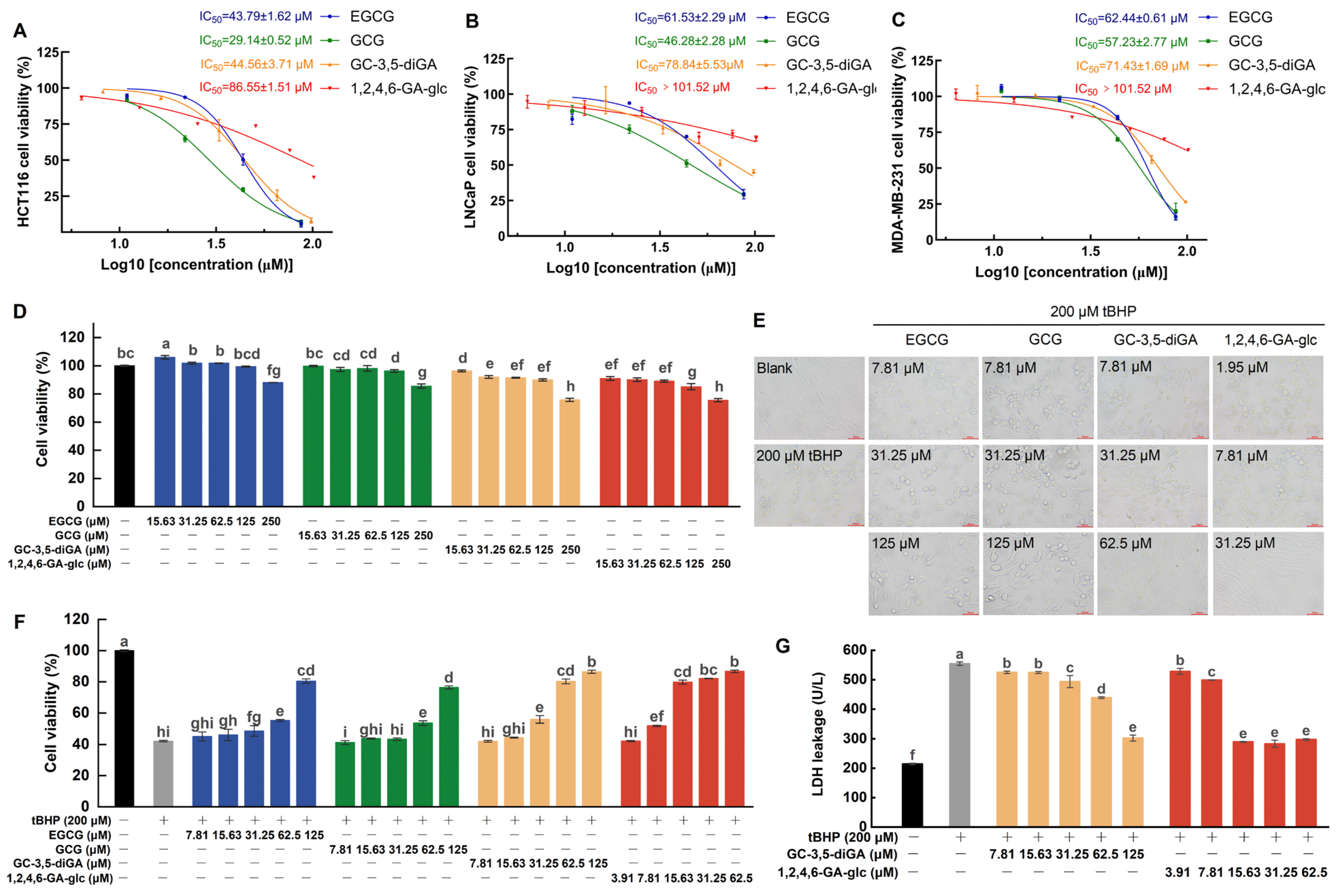 Molecules 30 01919 g005
